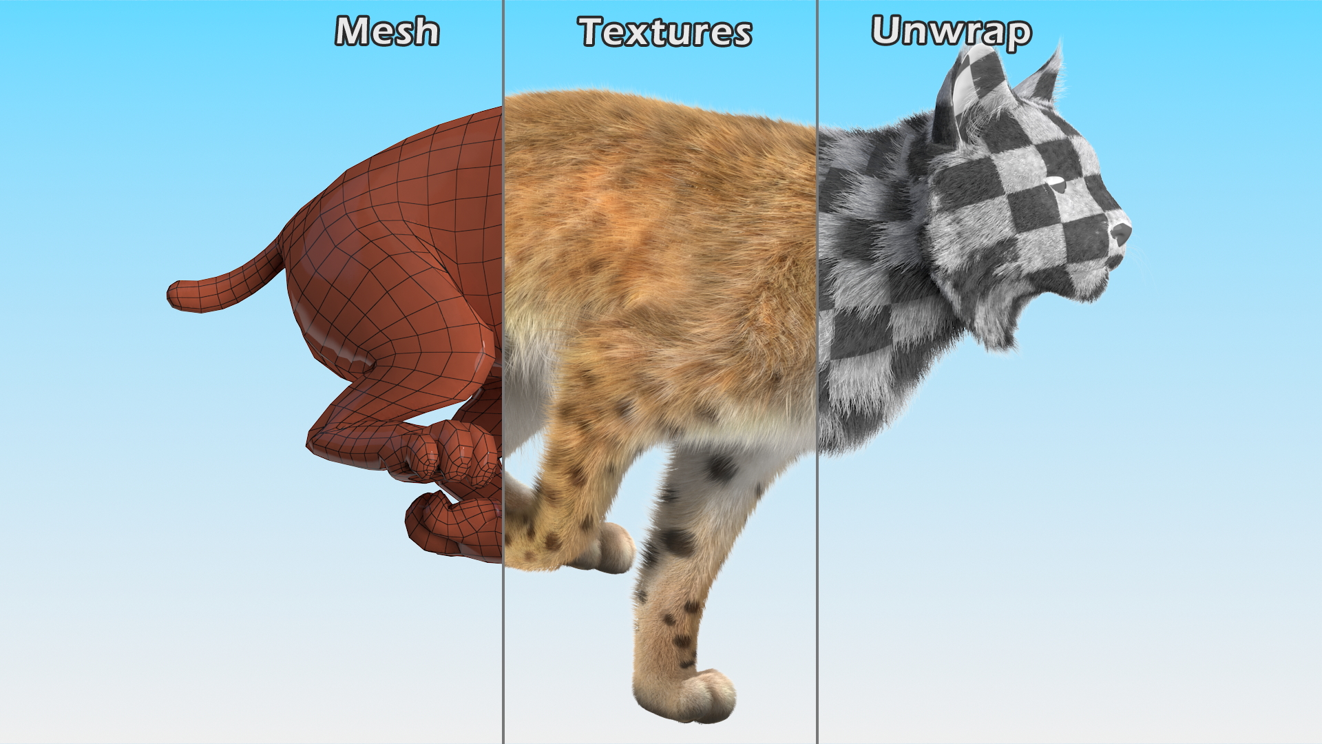 3D Lynx Running Fur