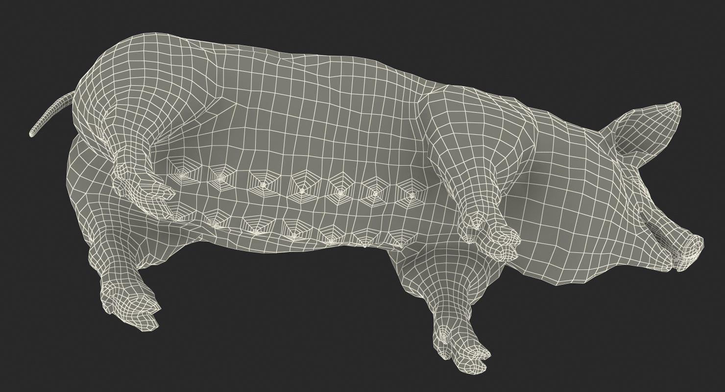 3D Hampshire Pig Sow with Fur Rigged model