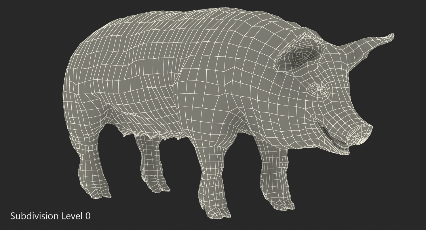 3D Hampshire Pig Sow with Fur Rigged model