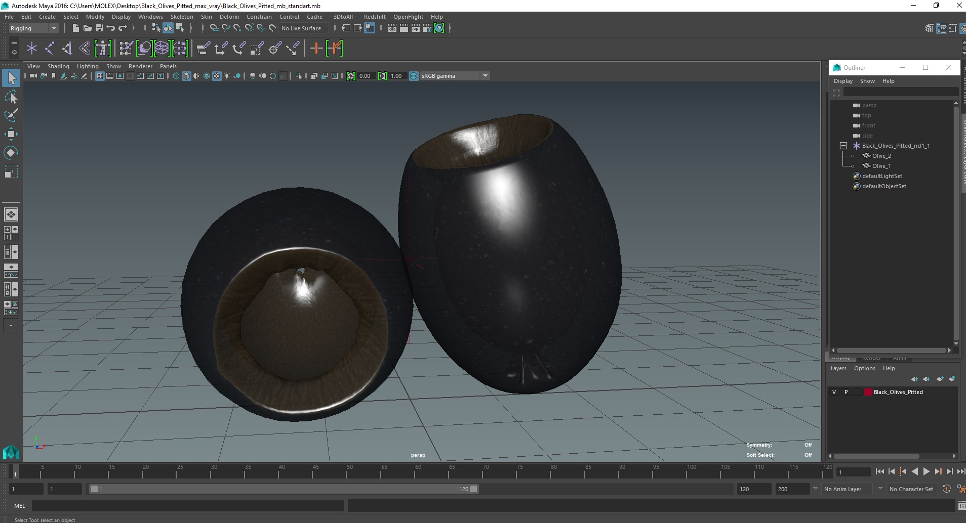 Black Olives Pitted 3D model