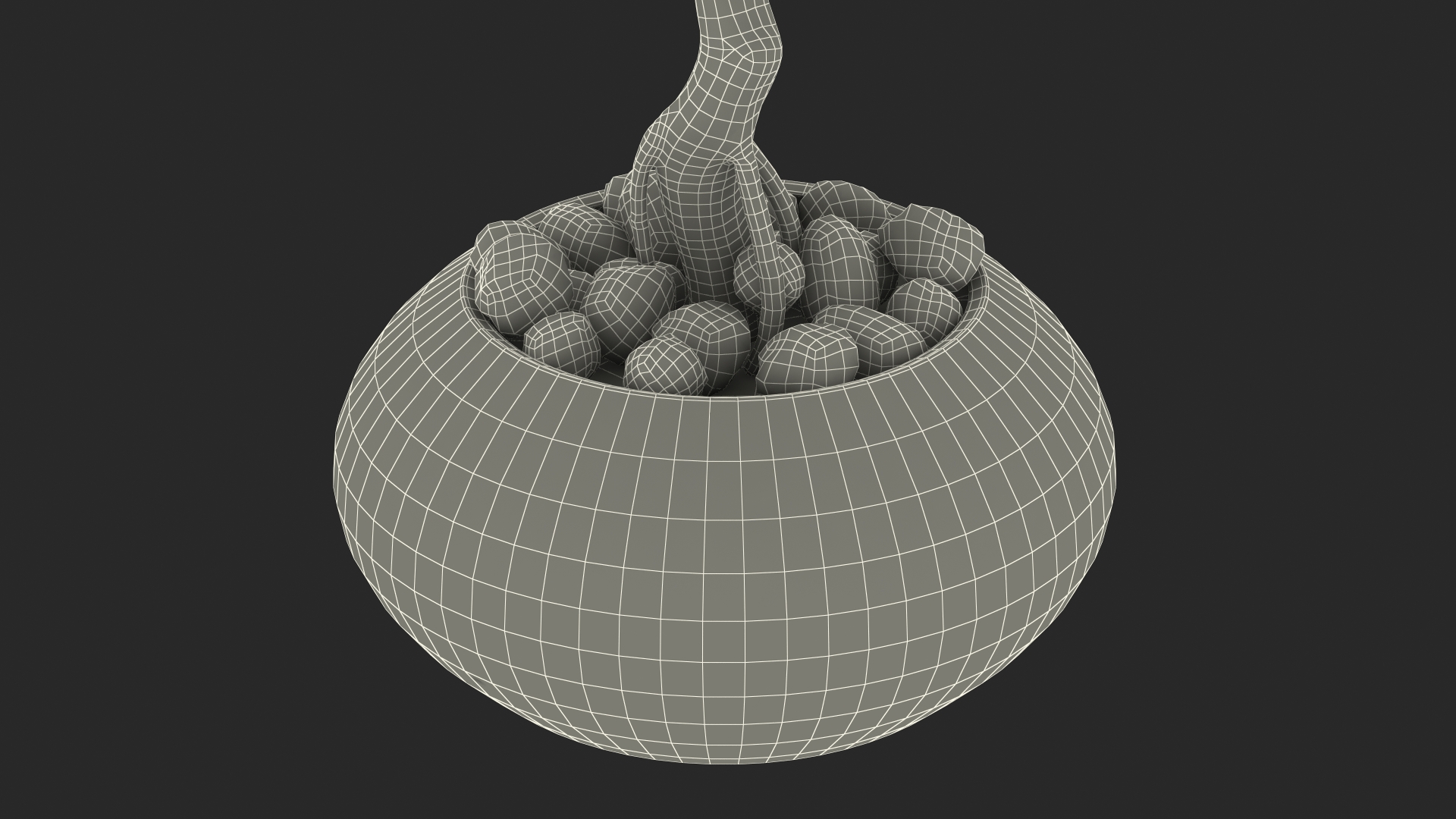 3D Podocarpus Small Tree in Pot model