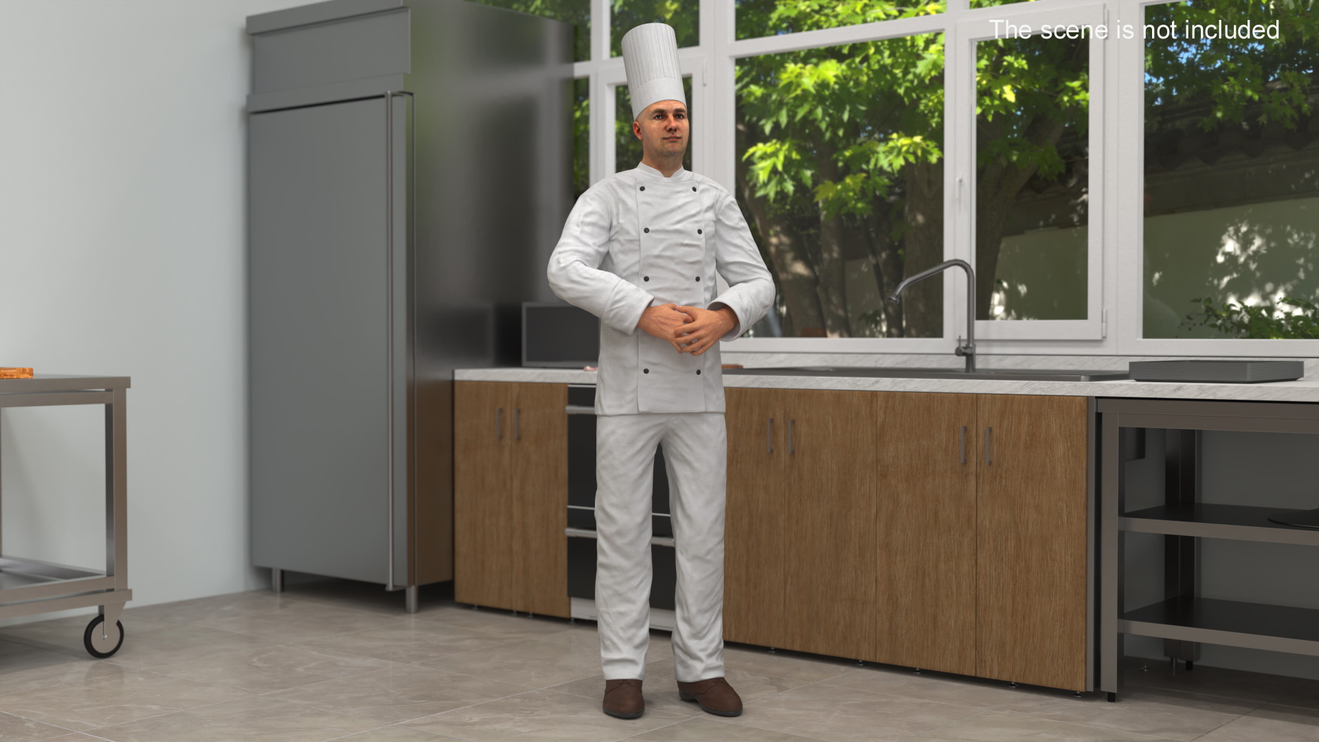 3D Chef Rigged