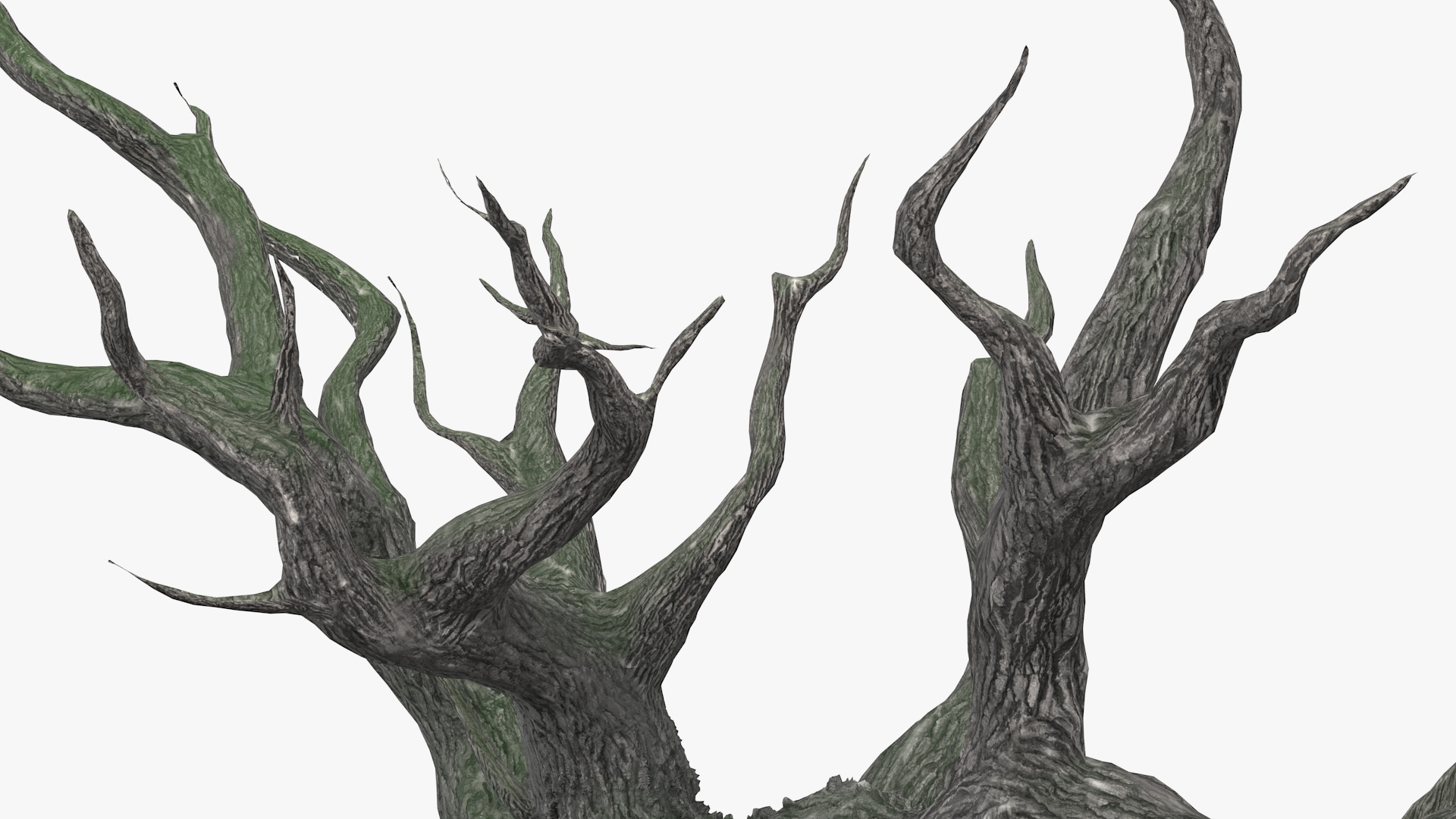 3D Spooky Old Twisted Tree model