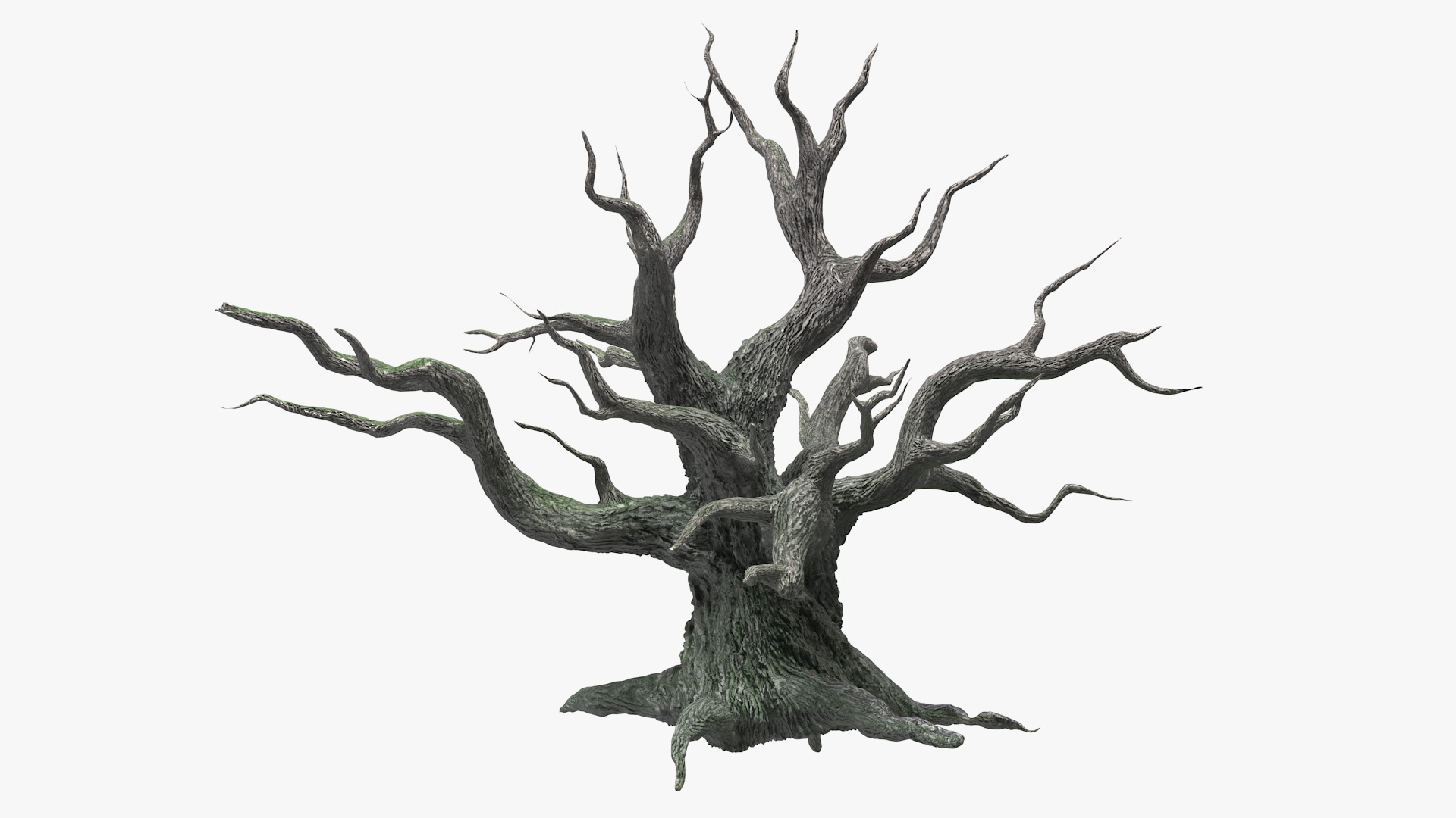 3D Spooky Old Twisted Tree model