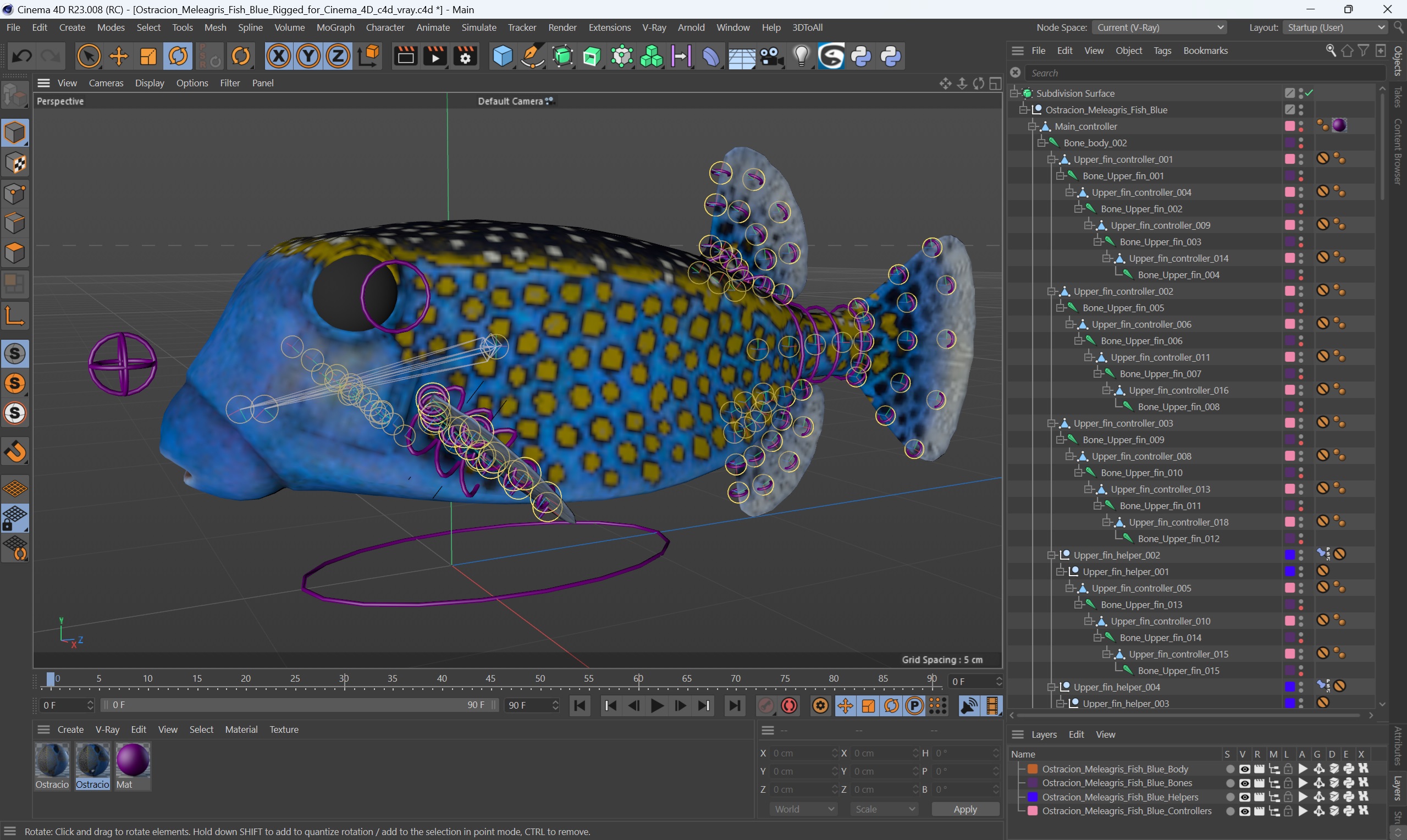 3D model Ostracion Meleagris Fish Blue Rigged for Cinema 4D