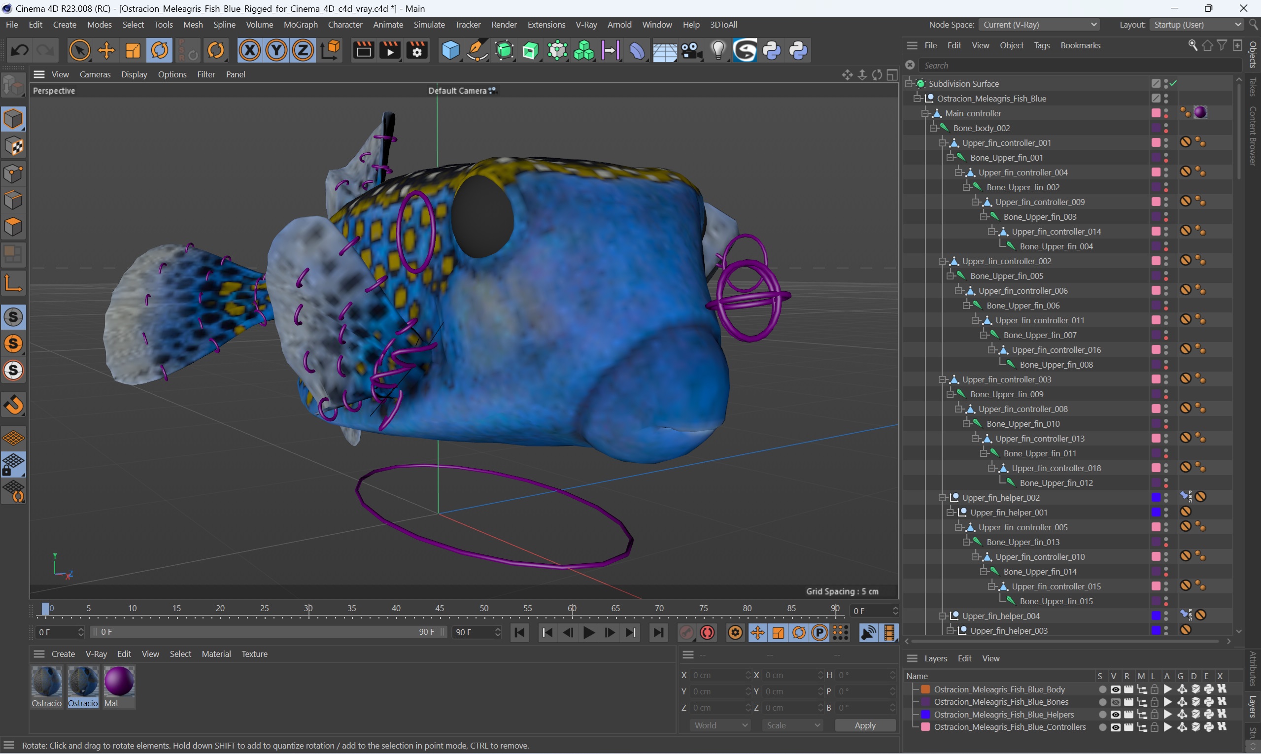 3D model Ostracion Meleagris Fish Blue Rigged for Cinema 4D