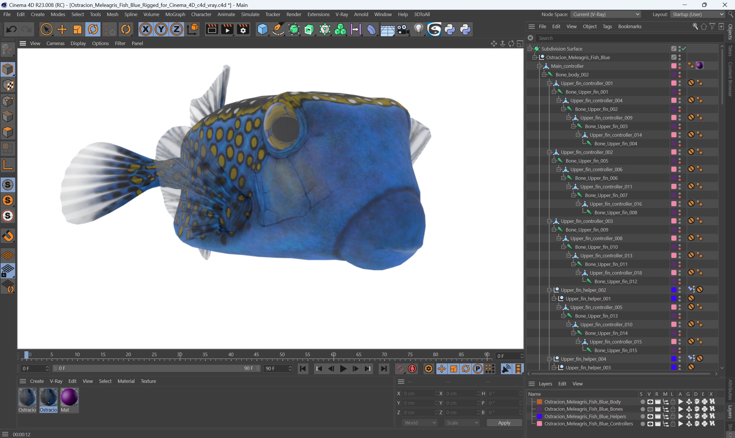 3D model Ostracion Meleagris Fish Blue Rigged for Cinema 4D