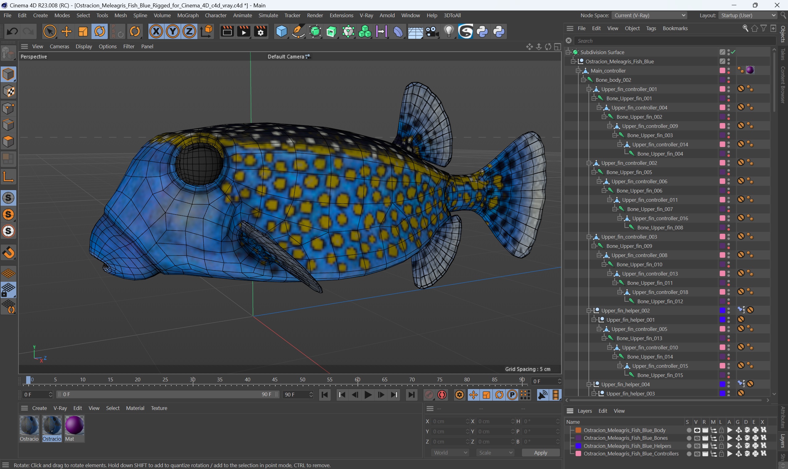 3D model Ostracion Meleagris Fish Blue Rigged for Cinema 4D