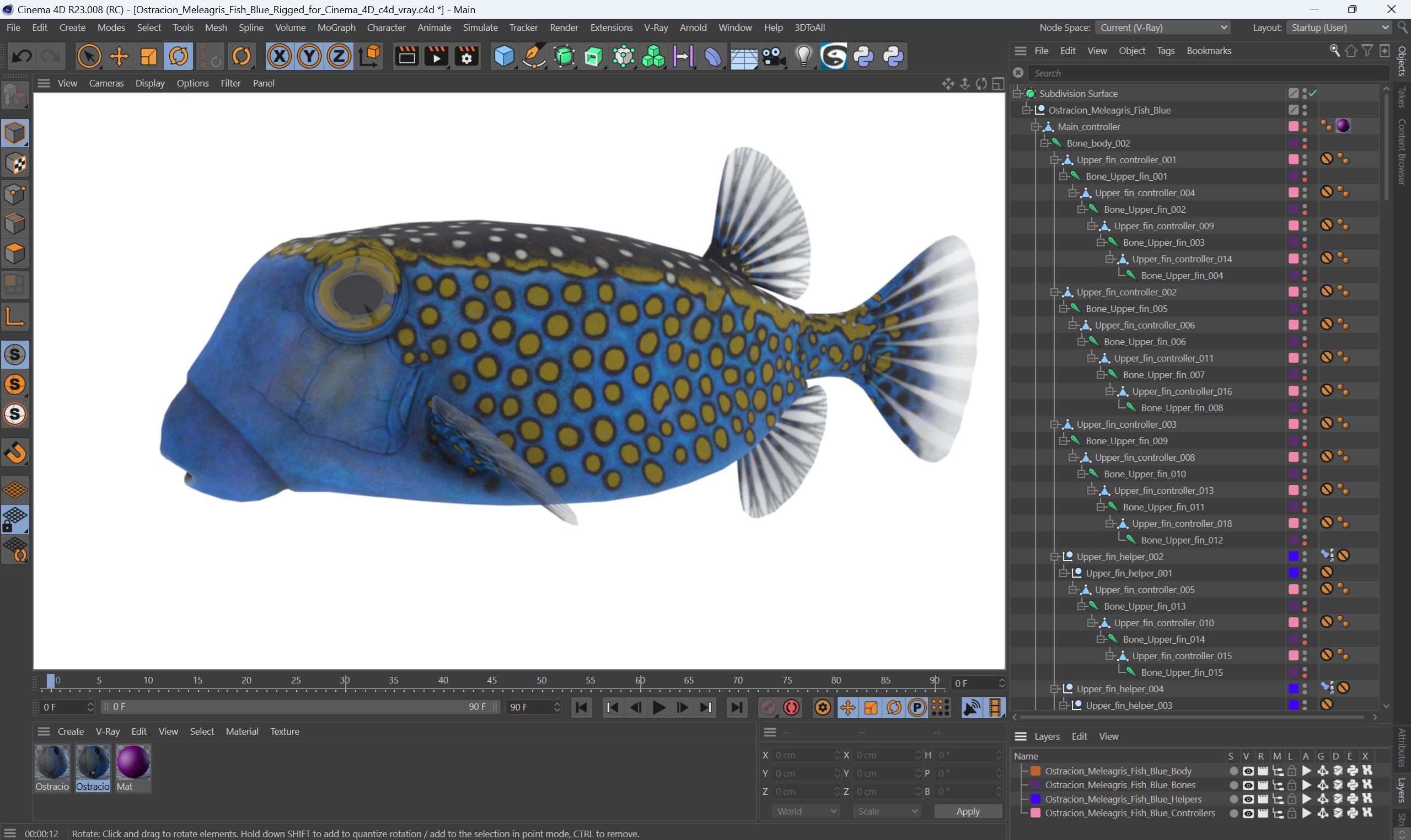 3D model Ostracion Meleagris Fish Blue Rigged for Cinema 4D