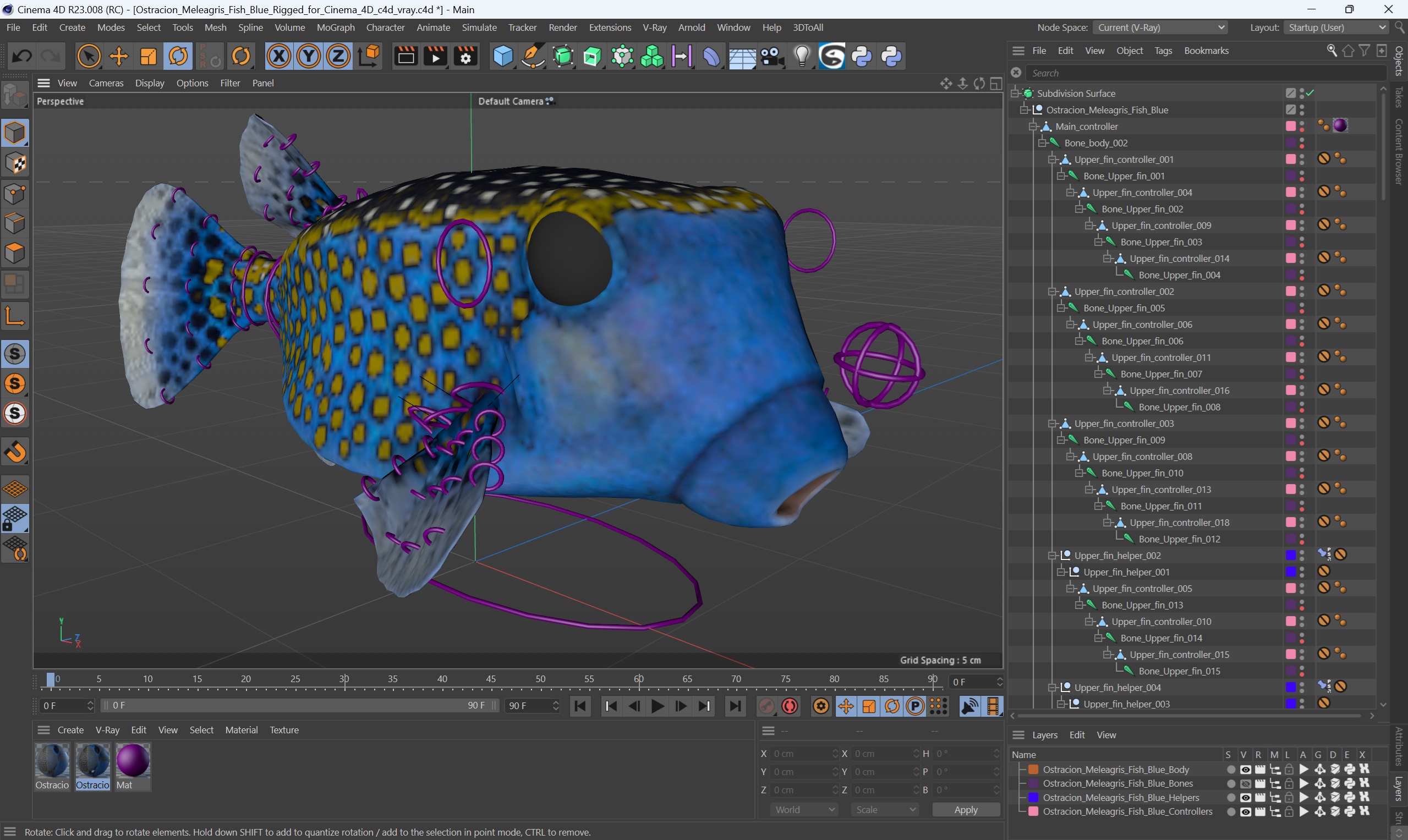 3D model Ostracion Meleagris Fish Blue Rigged for Cinema 4D