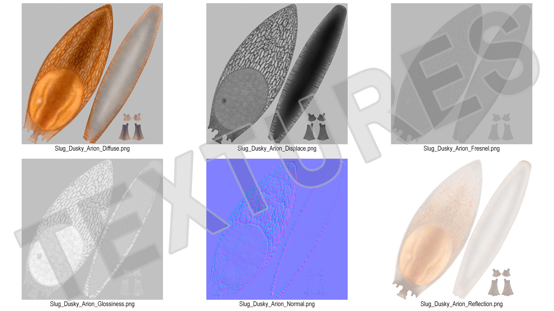 3D Dusky Arion Slug