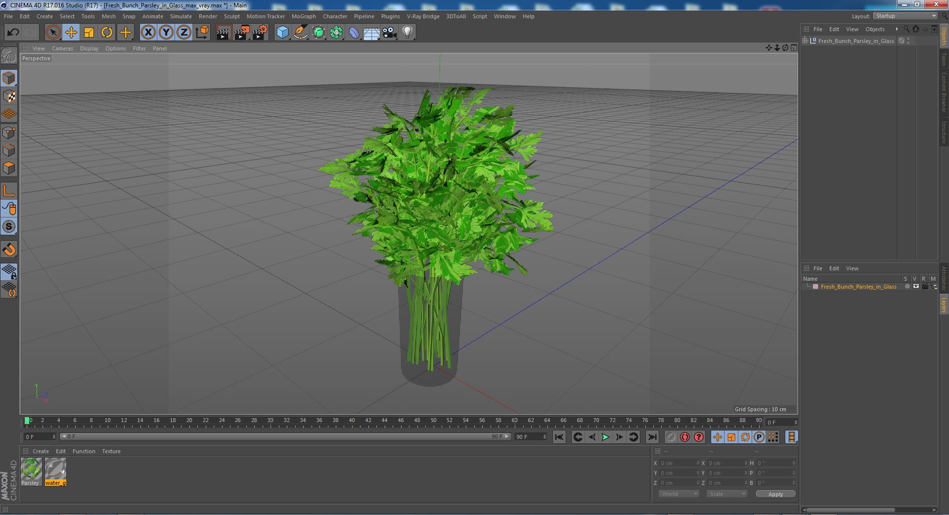 3D Fresh Bunch Parsley in Glass model