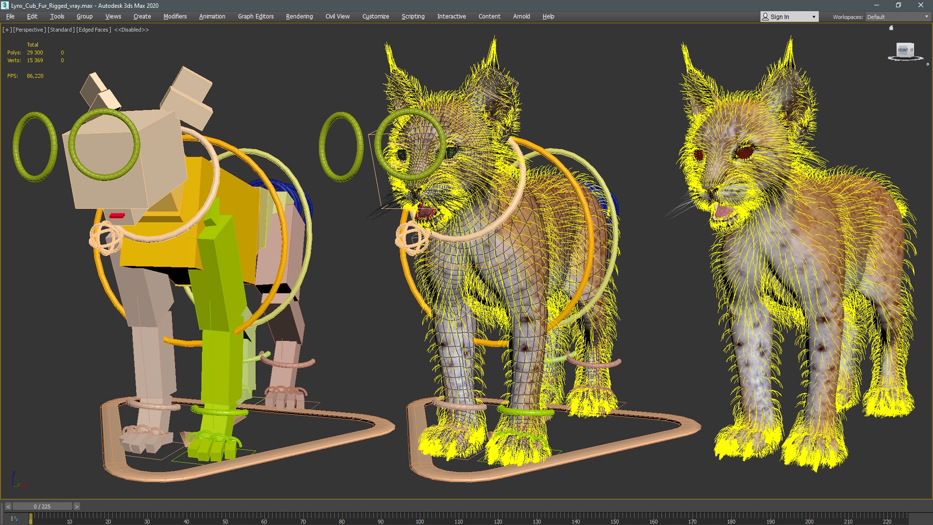 Lynx Cub Fur Rigged 3D model