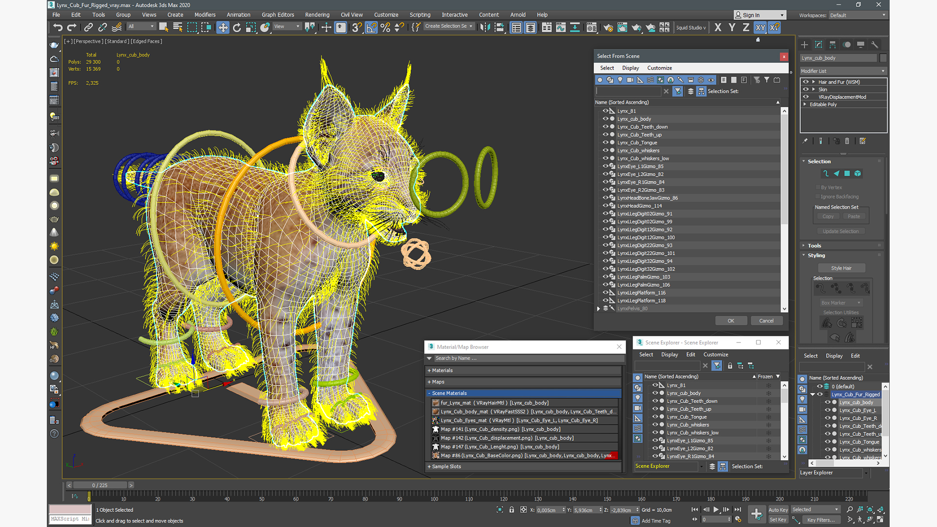 Lynx Cub Fur Rigged 3D model