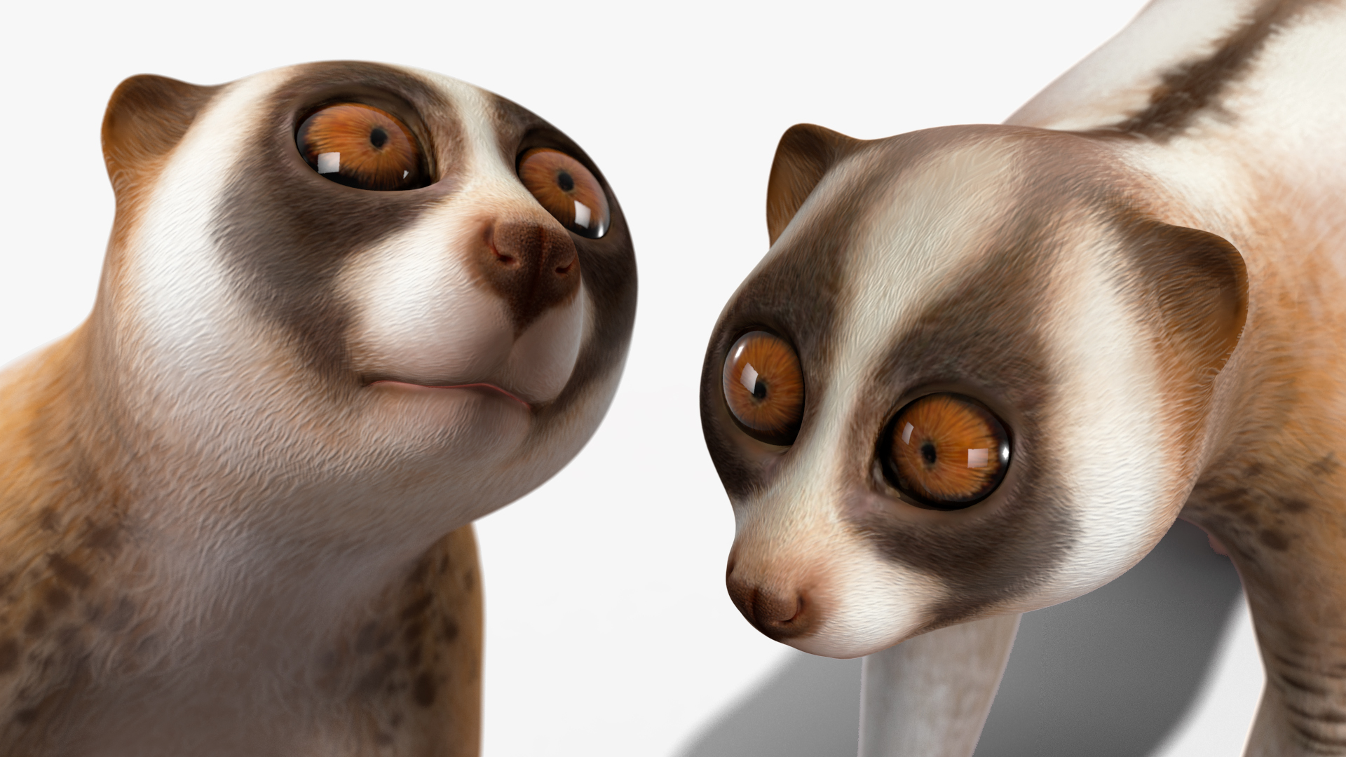 Bengal Slow Loris 3D