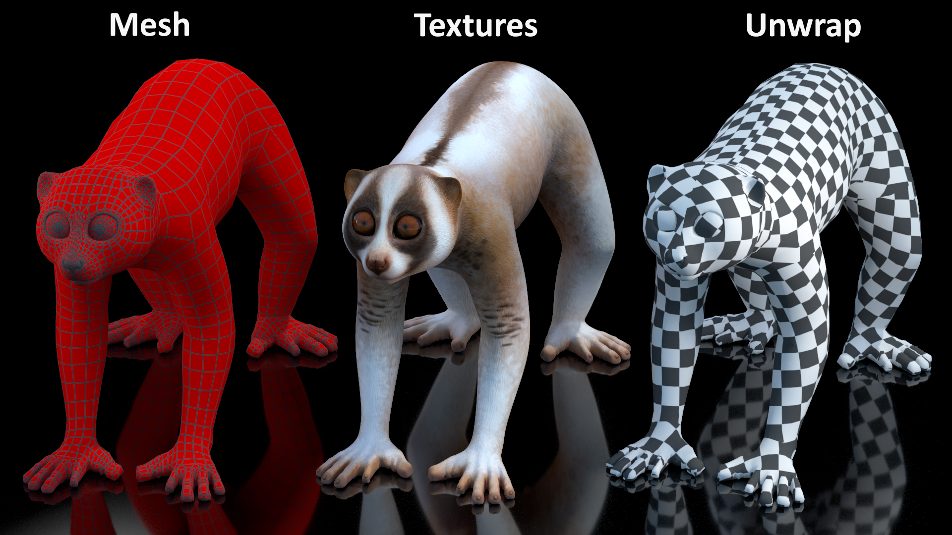 Bengal Slow Loris 3D