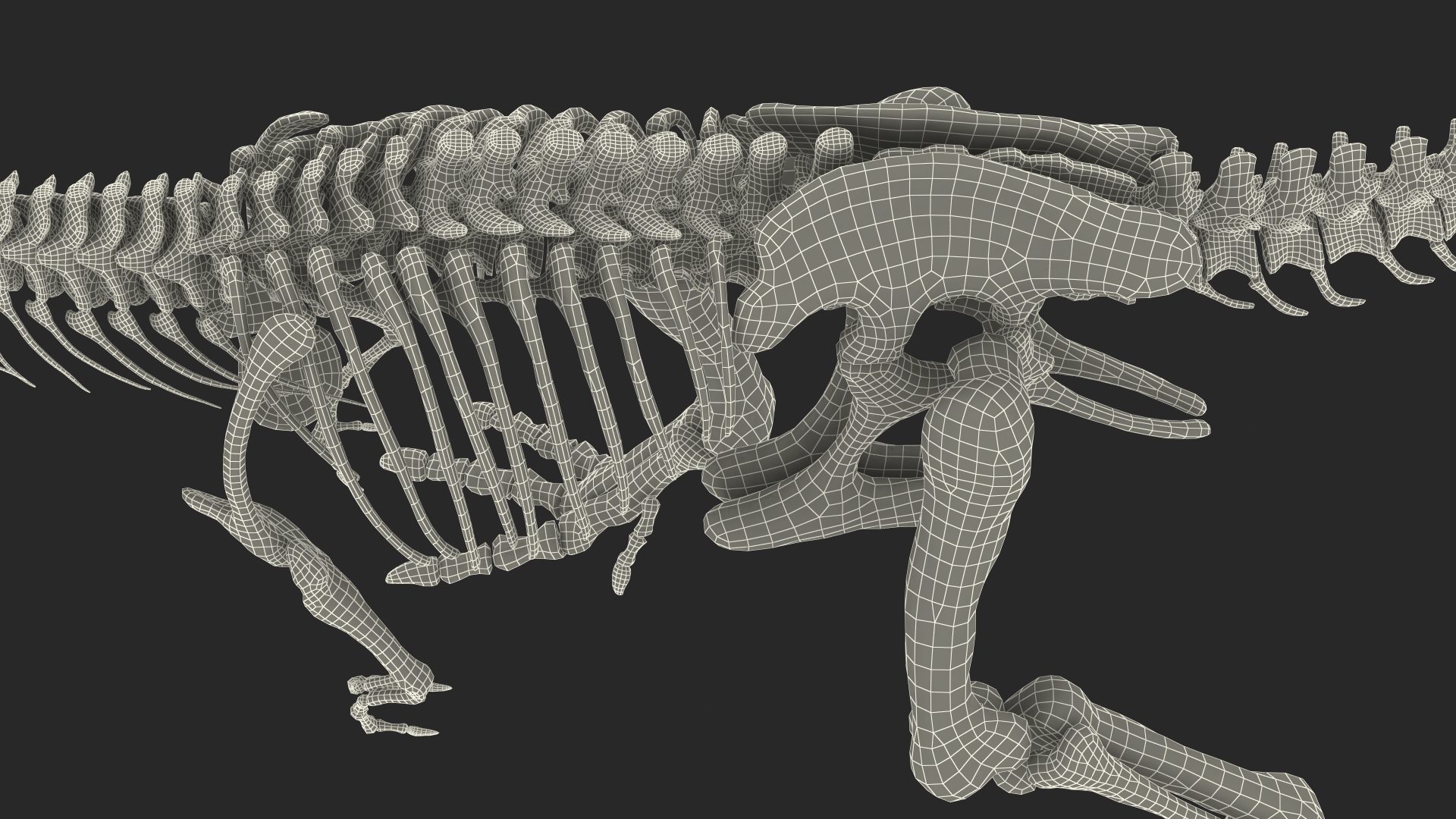 3D Tyrannosaurus Rex Skeleton Fossil with Skin Walking Pose