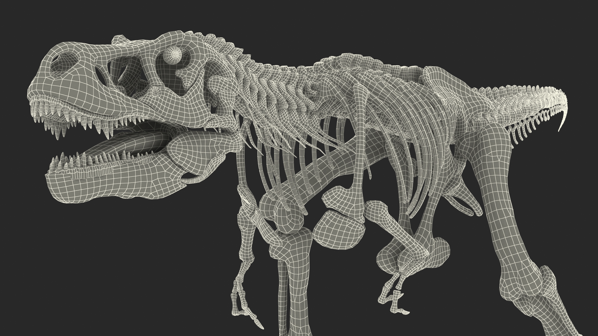 3D Tyrannosaurus Rex Skeleton Fossil with Skin Walking Pose