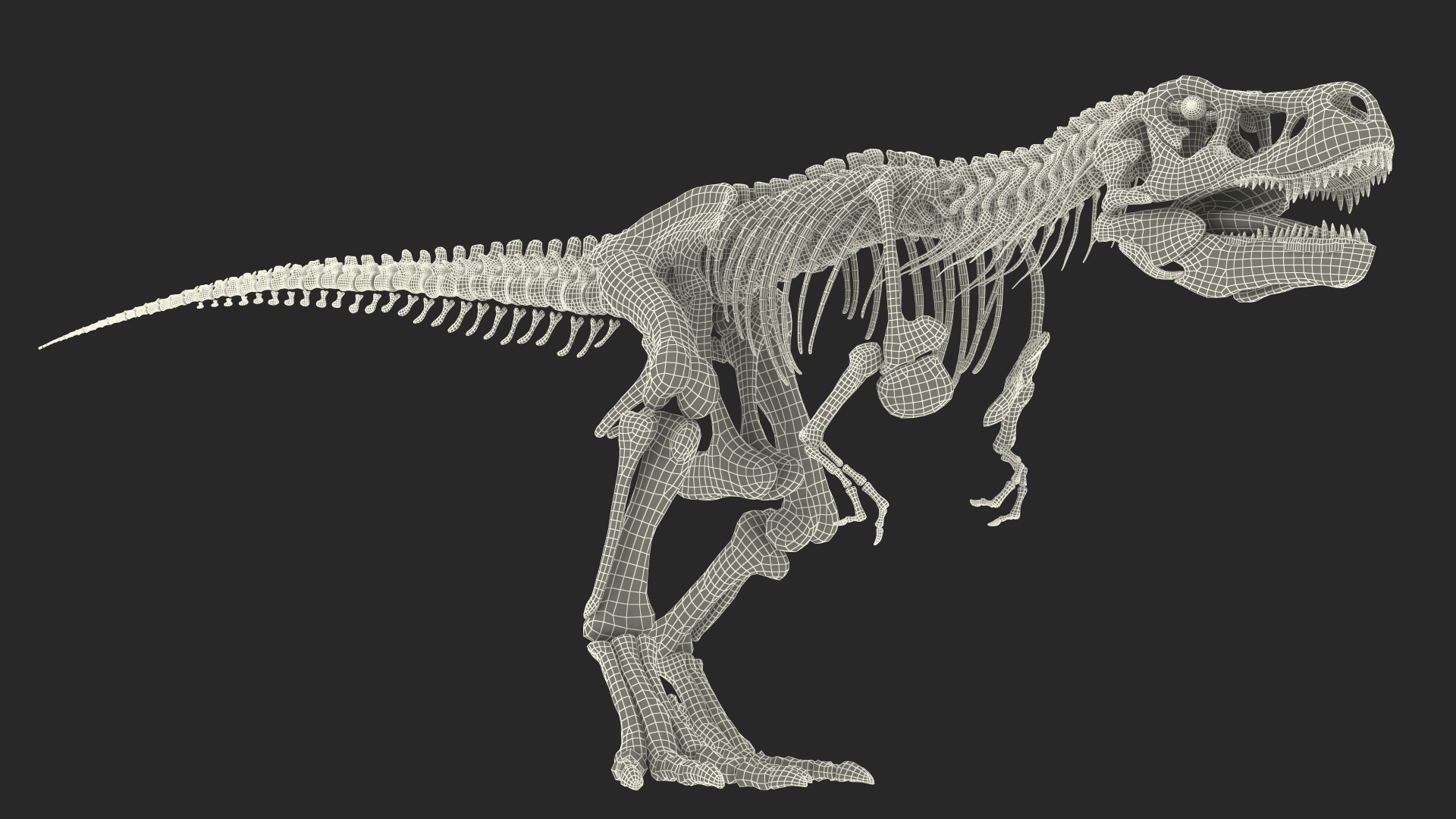 3D Tyrannosaurus Rex Skeleton Fossil with Skin Walking Pose