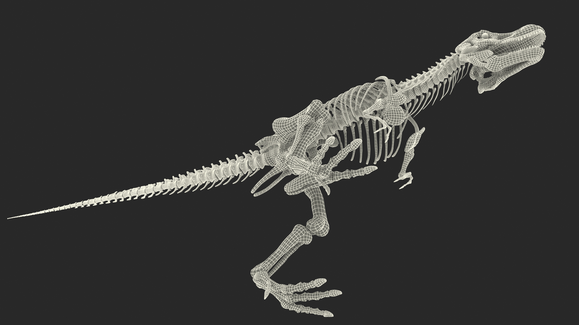 3D Tyrannosaurus Rex Skeleton Fossil with Skin Walking Pose