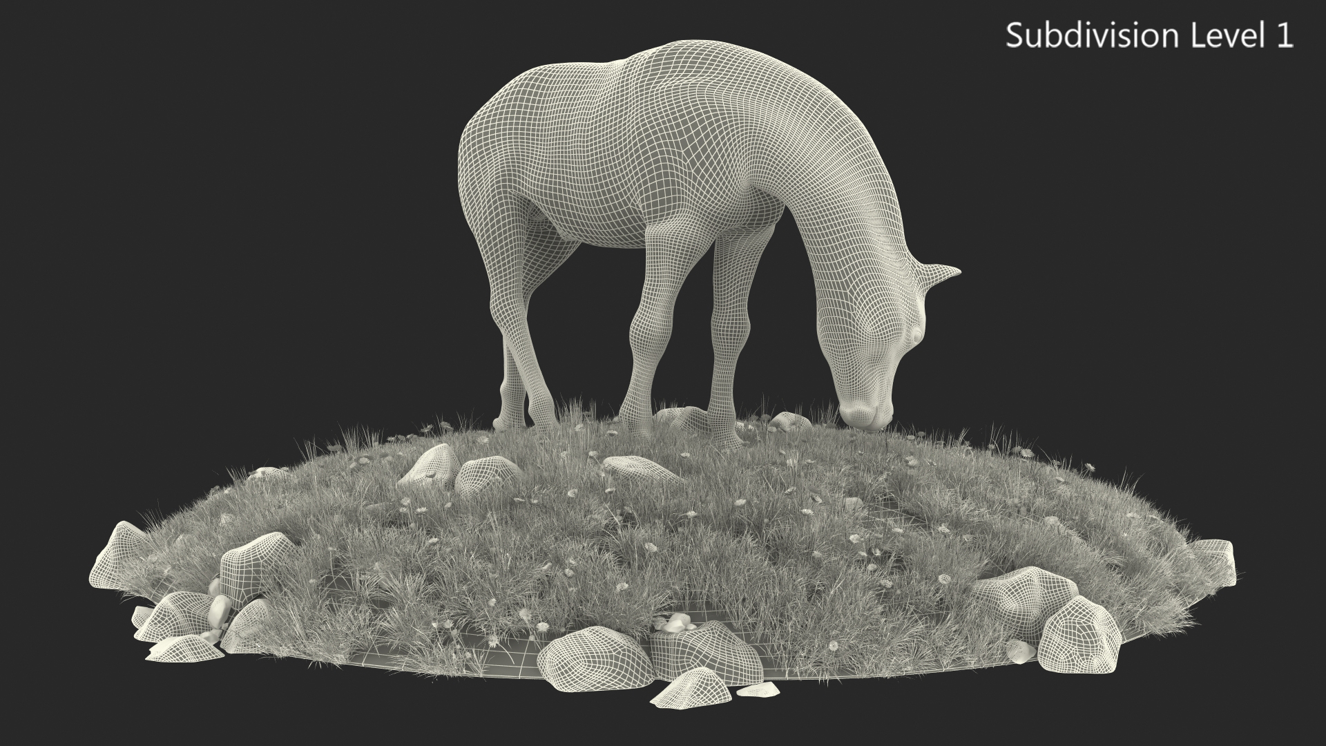 Shetland Pony Grazing in a Meadow Fur 3D