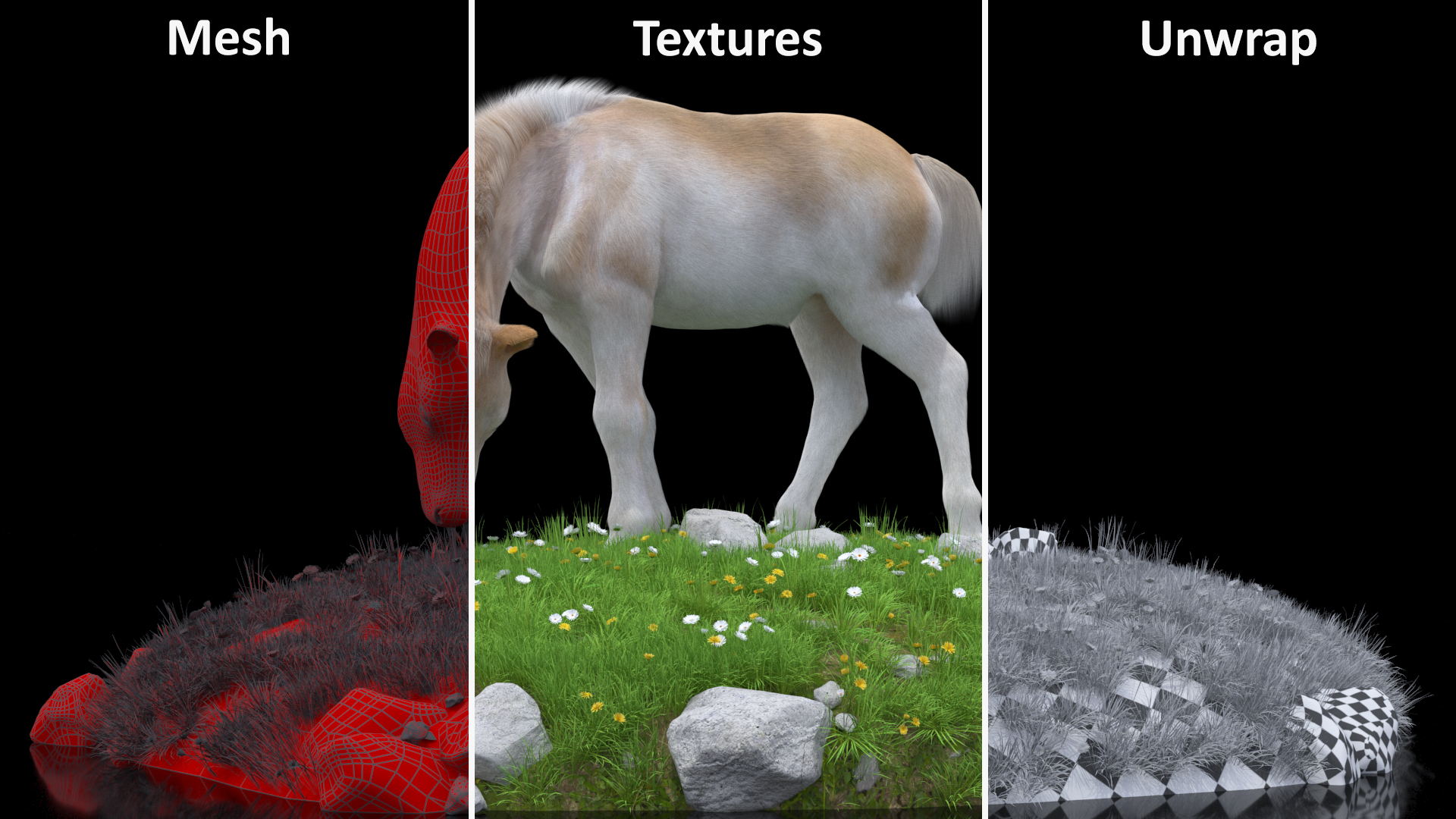 Shetland Pony Grazing in a Meadow Fur 3D