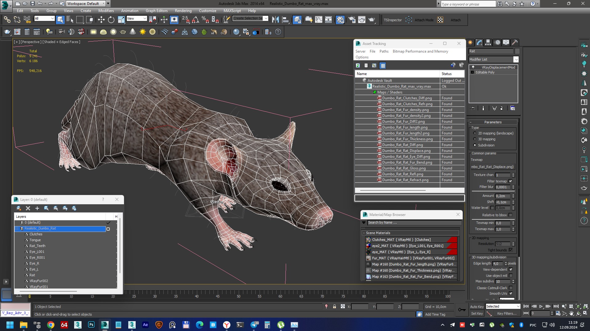 3D Realistic Dumbo Rat Fur model