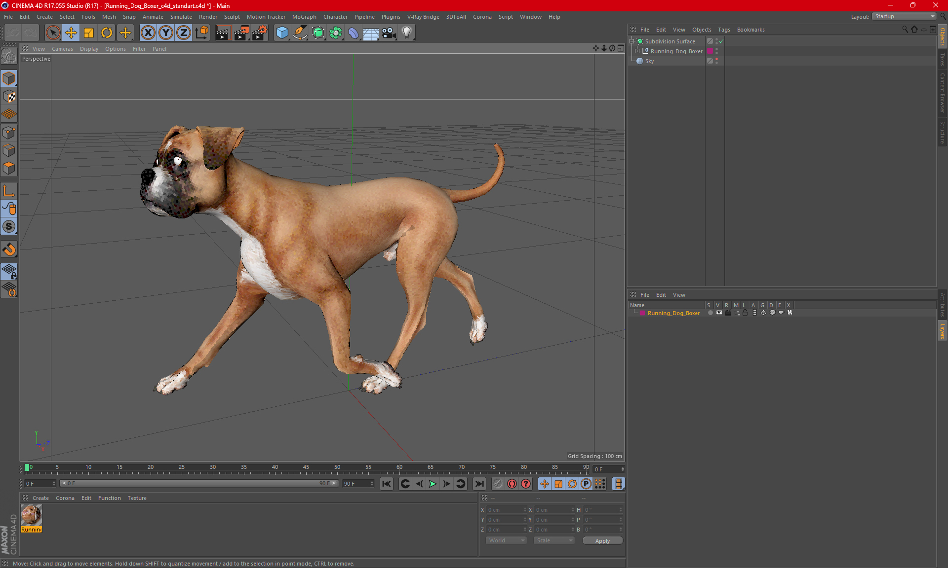 Running Dog Boxer 3D