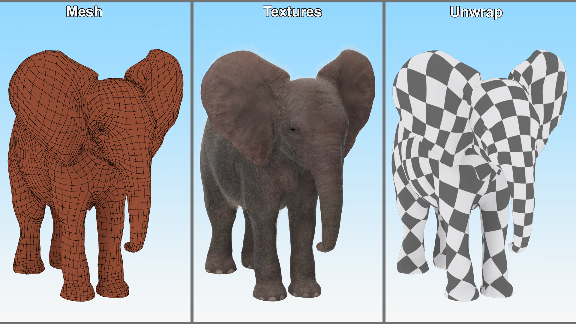 Baby Elephant Rigged Fur 3D model