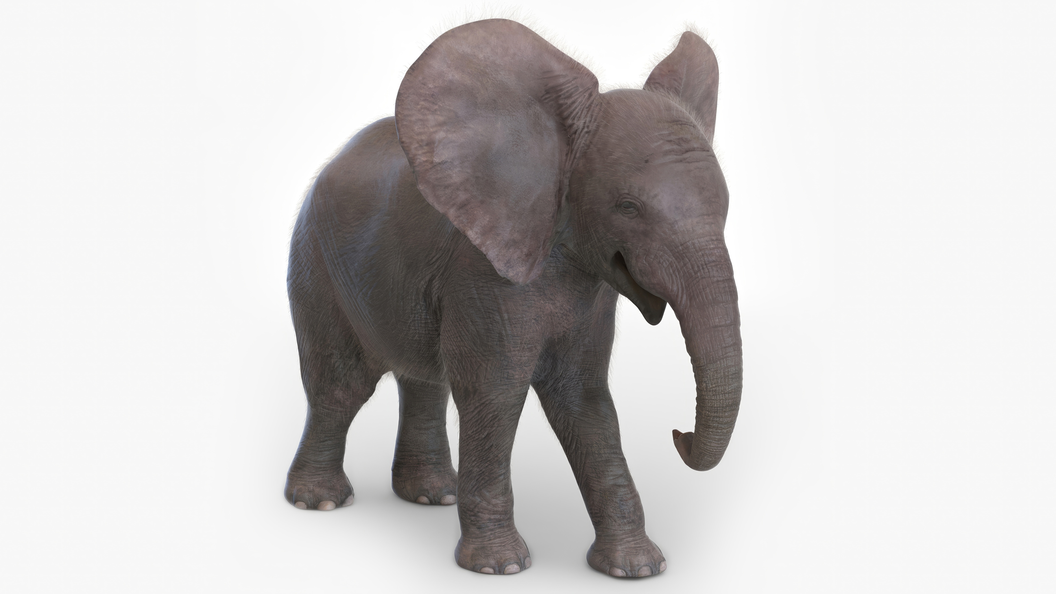 Baby Elephant Rigged Fur 3D model