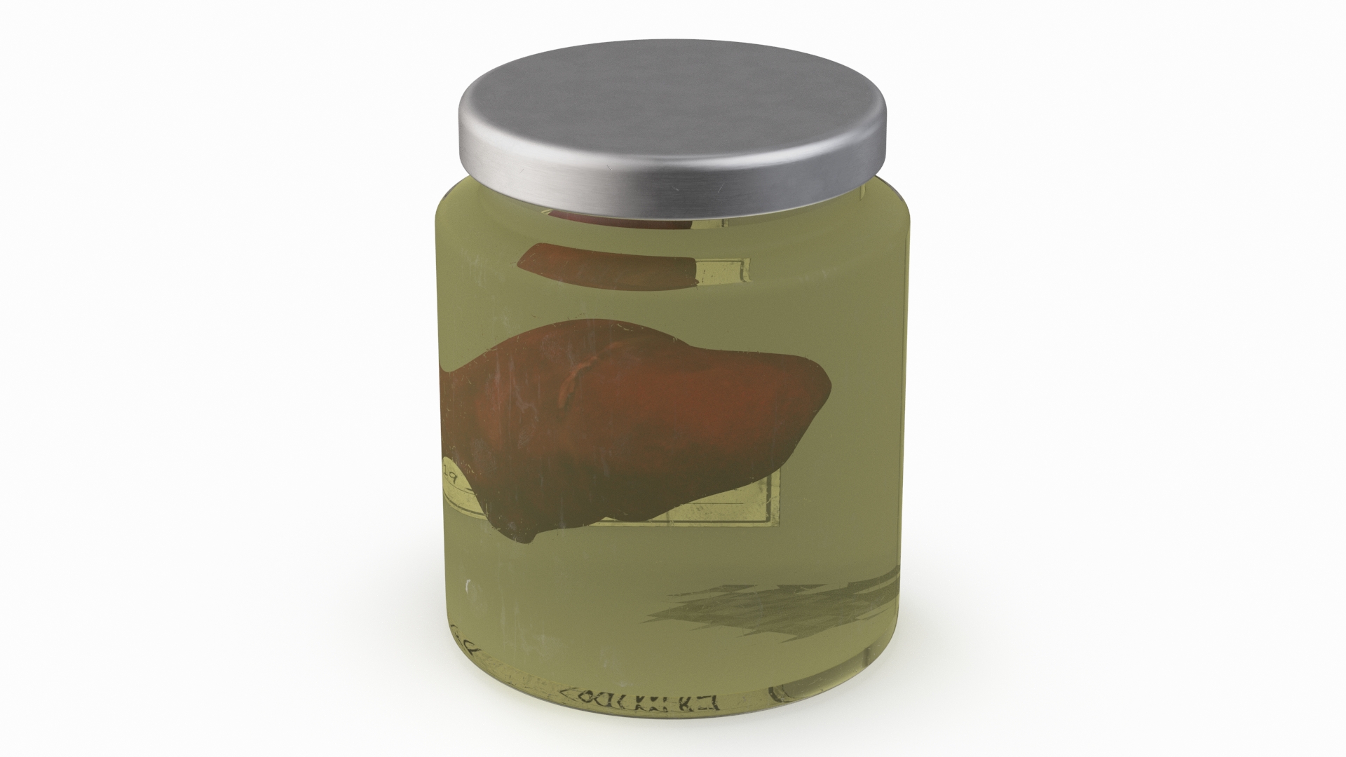 3D Human Liver Organ in a Jar