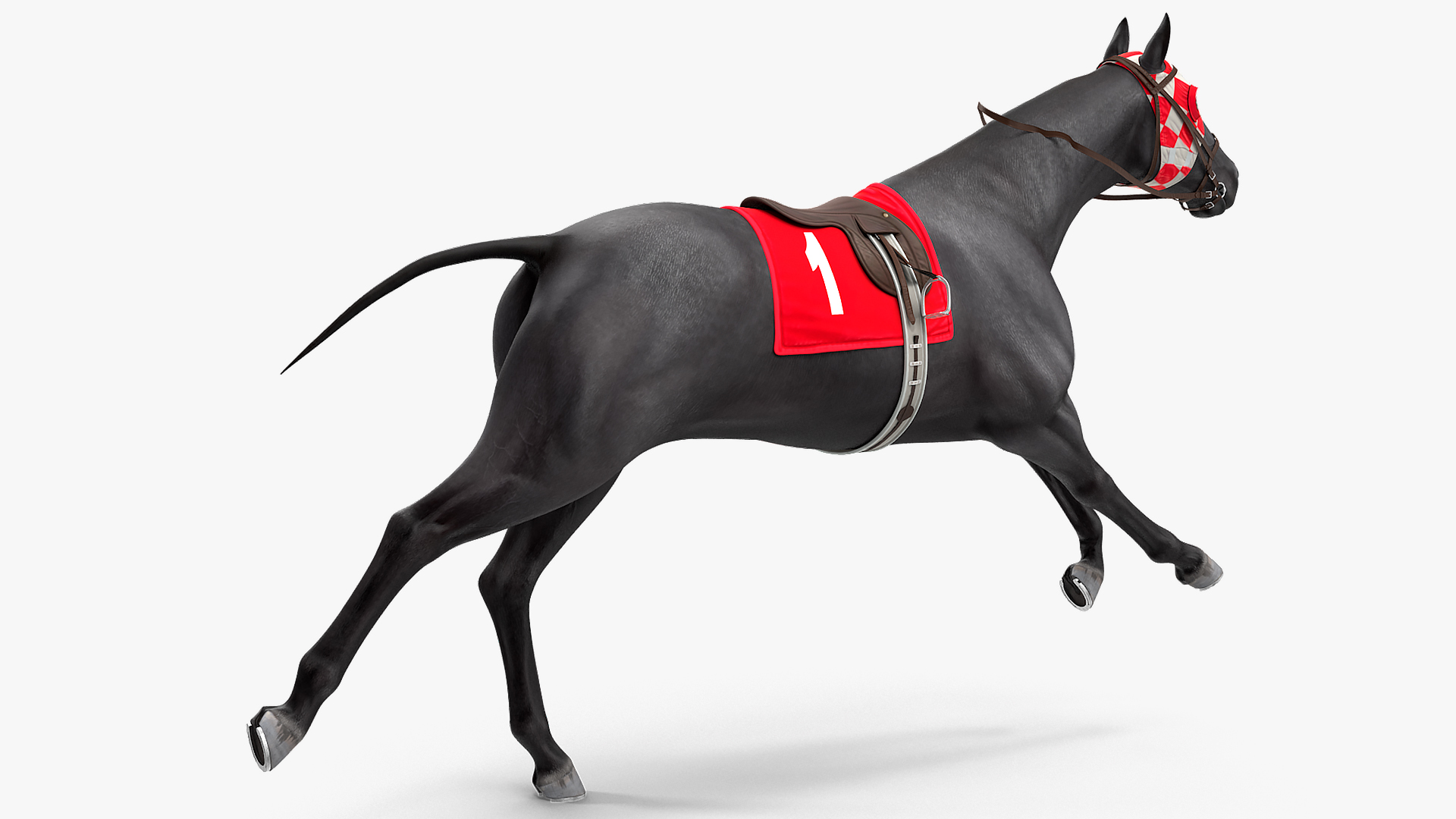 Racehorse Black Rigged 3D