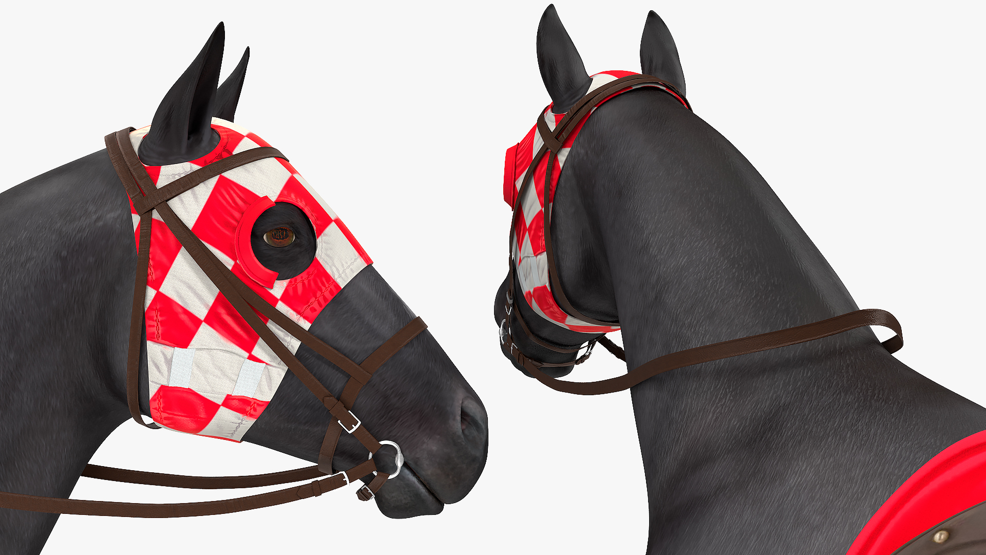 Racehorse Black Rigged 3D