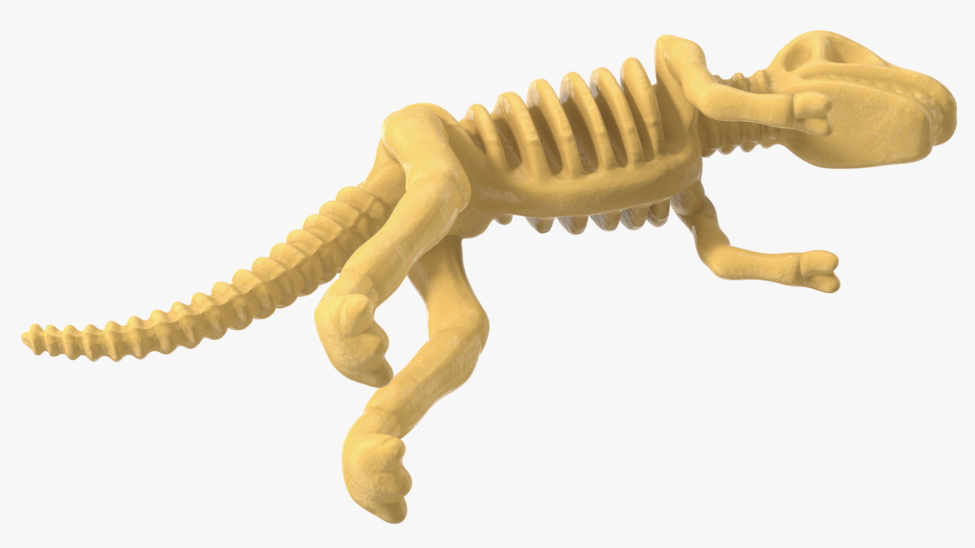 3D Tyrannosaurus Skeleton Toy