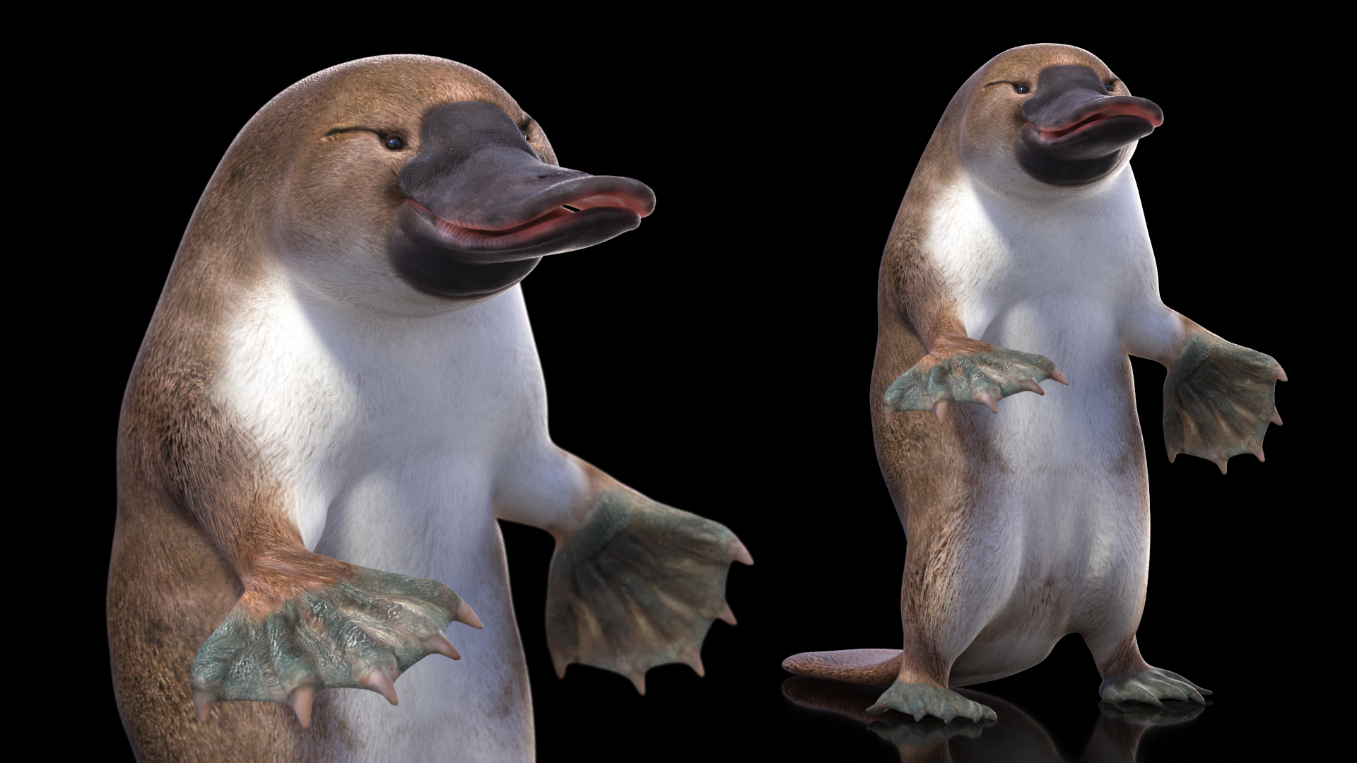 Standing Platypus 3D