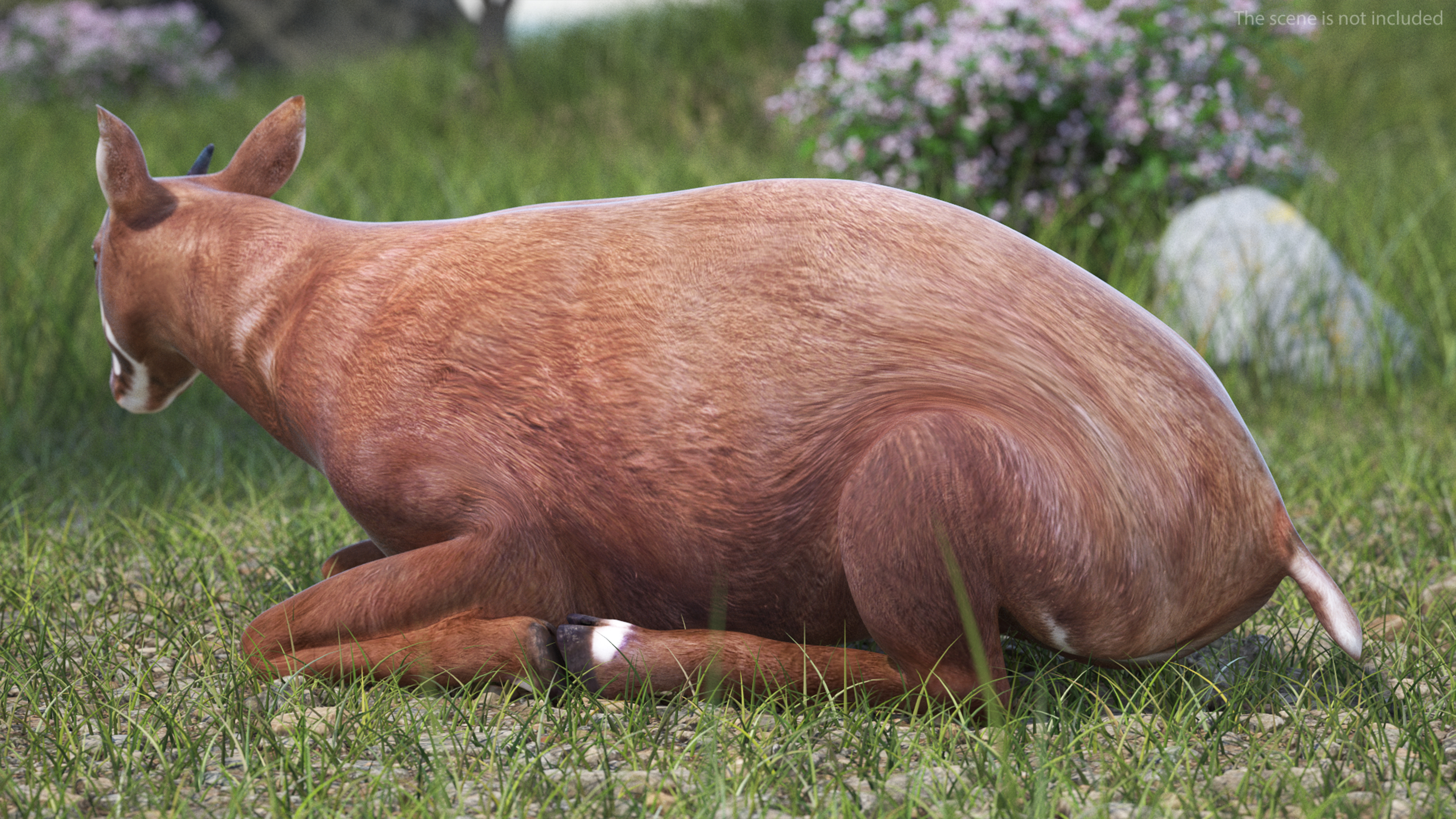 3D model Saola Reclining