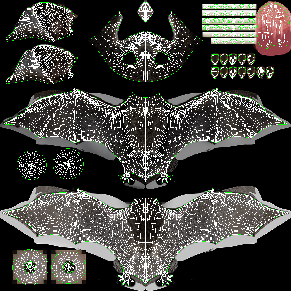 3D model Flying Black Bat Fur