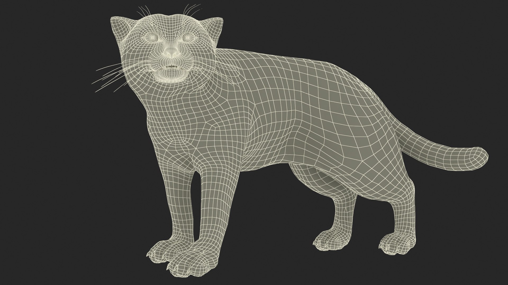 3D Cat Rigged Animated for Cinema 4D model