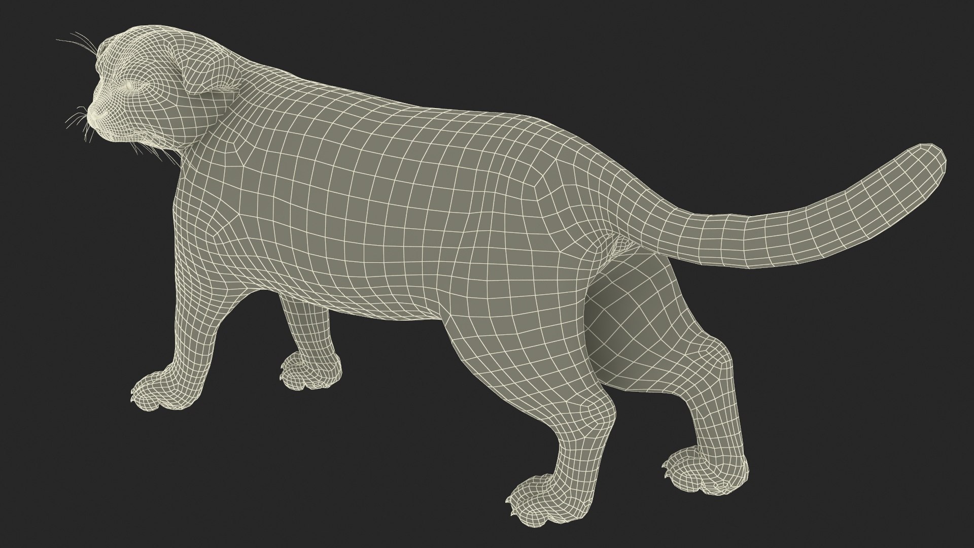 3D Cat Rigged Animated for Cinema 4D model