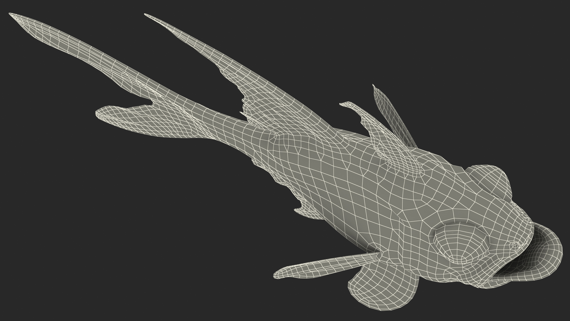 3D Longfin Cardinalfish Neutral Pose model