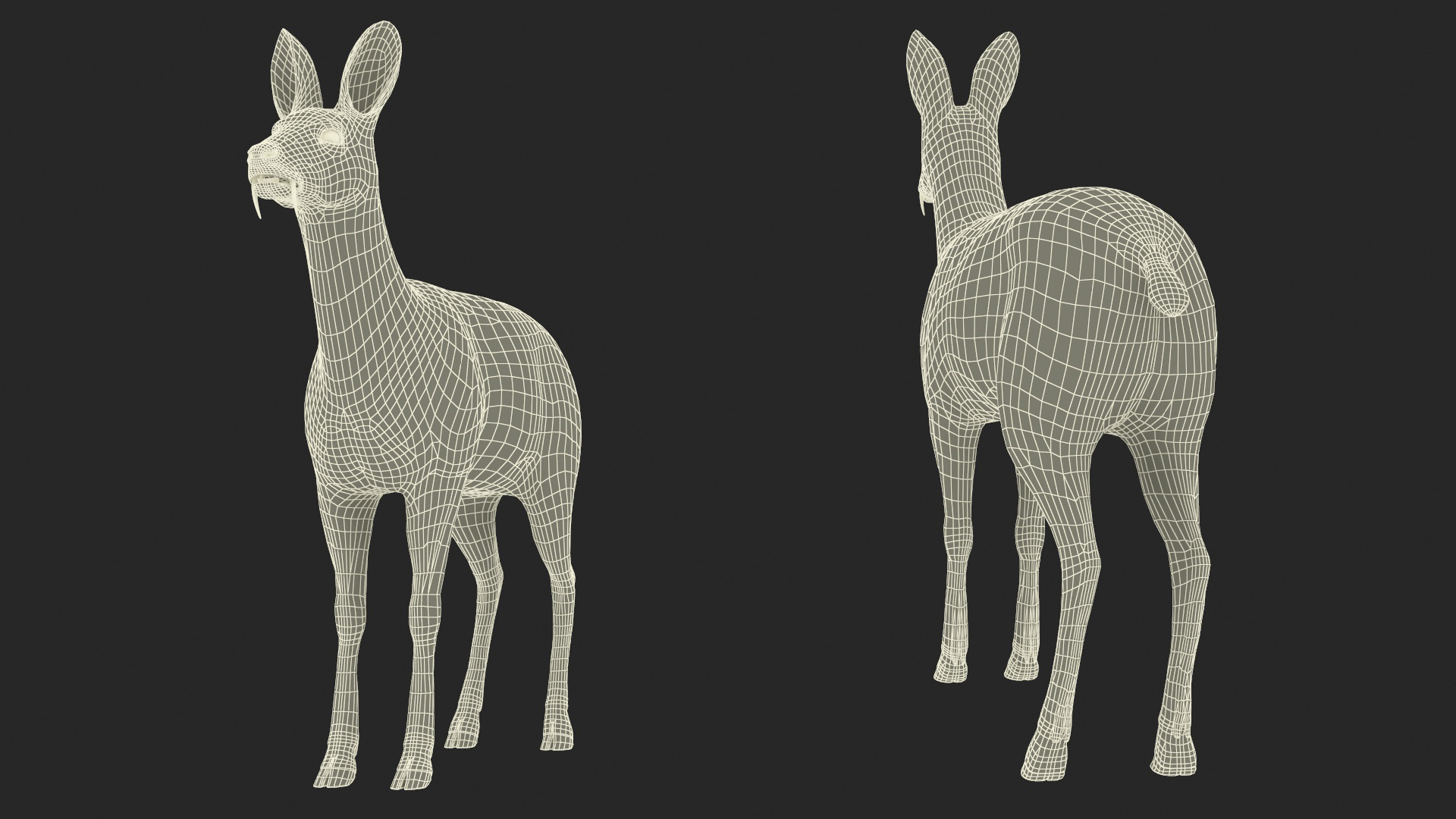 Moschus Moschiferus 3D model