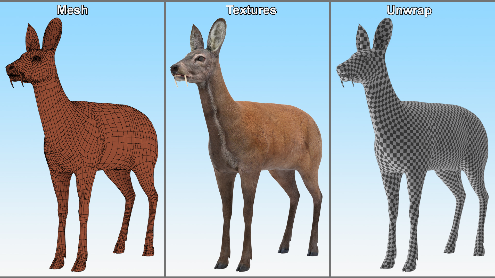 Moschus Moschiferus 3D model