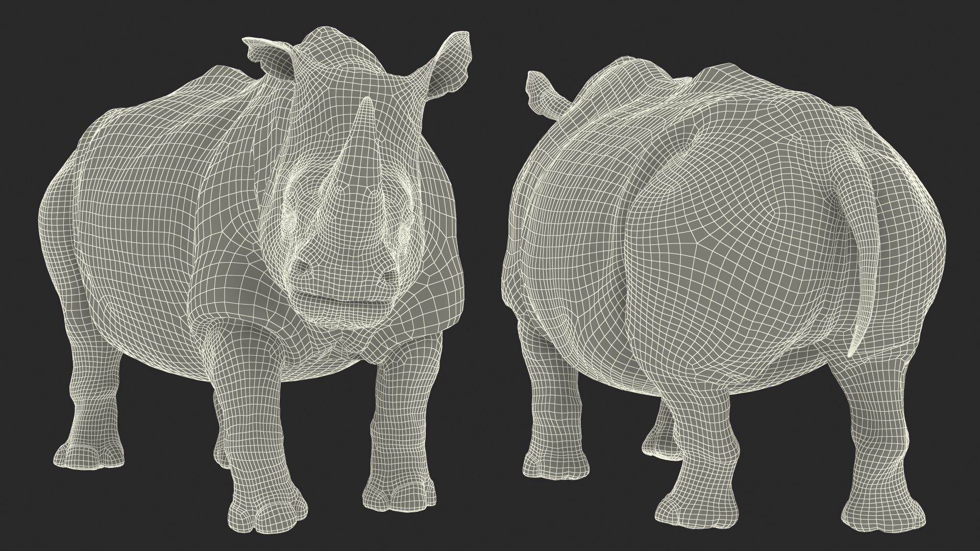 Adult Rhino Fur Rigged 3D