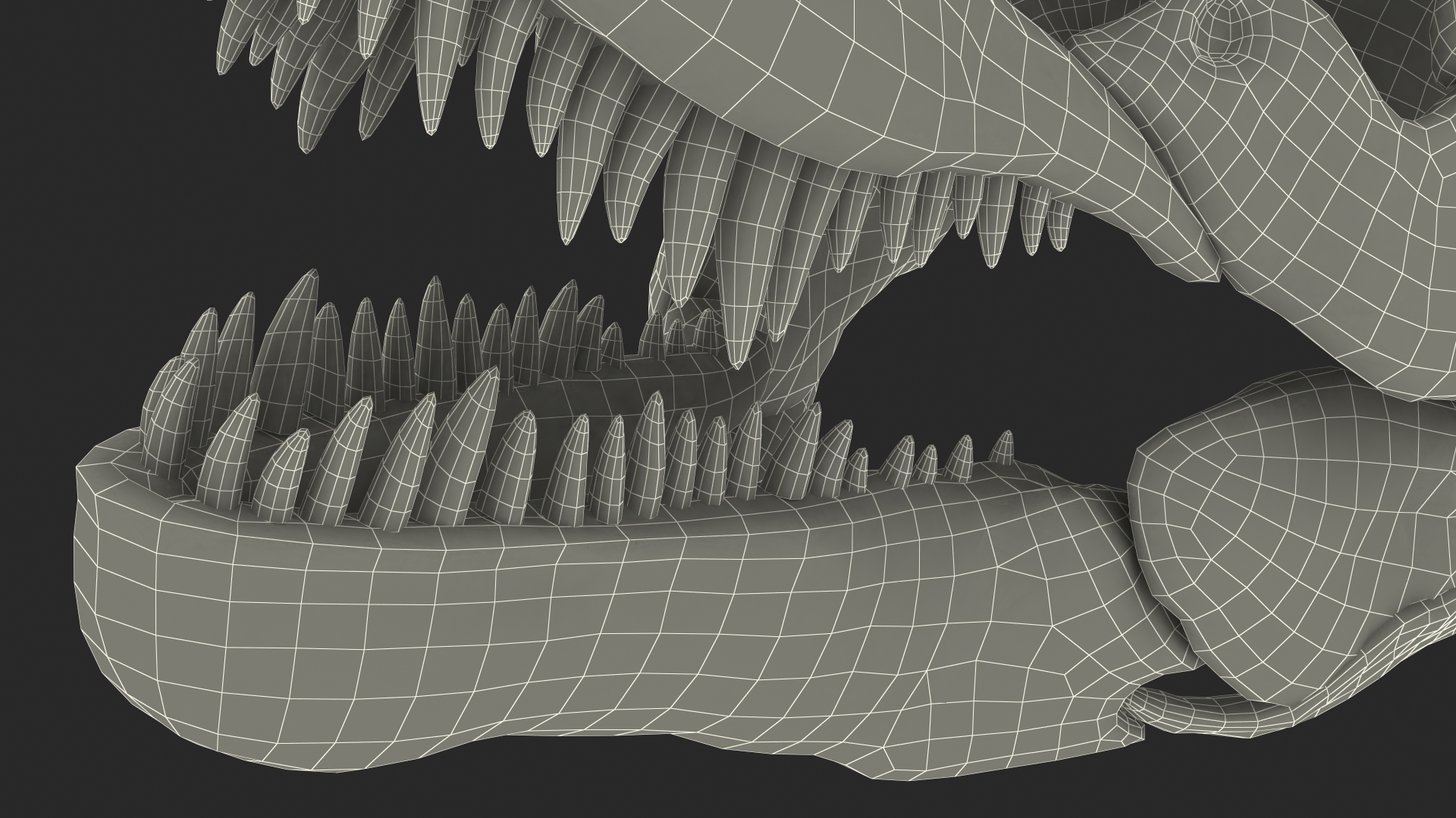 3D Tyrannosaurus Rex Skeleton