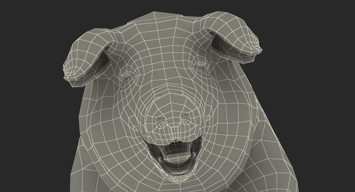 3D model Hampshire Pig Sow with Fur Standing Pose