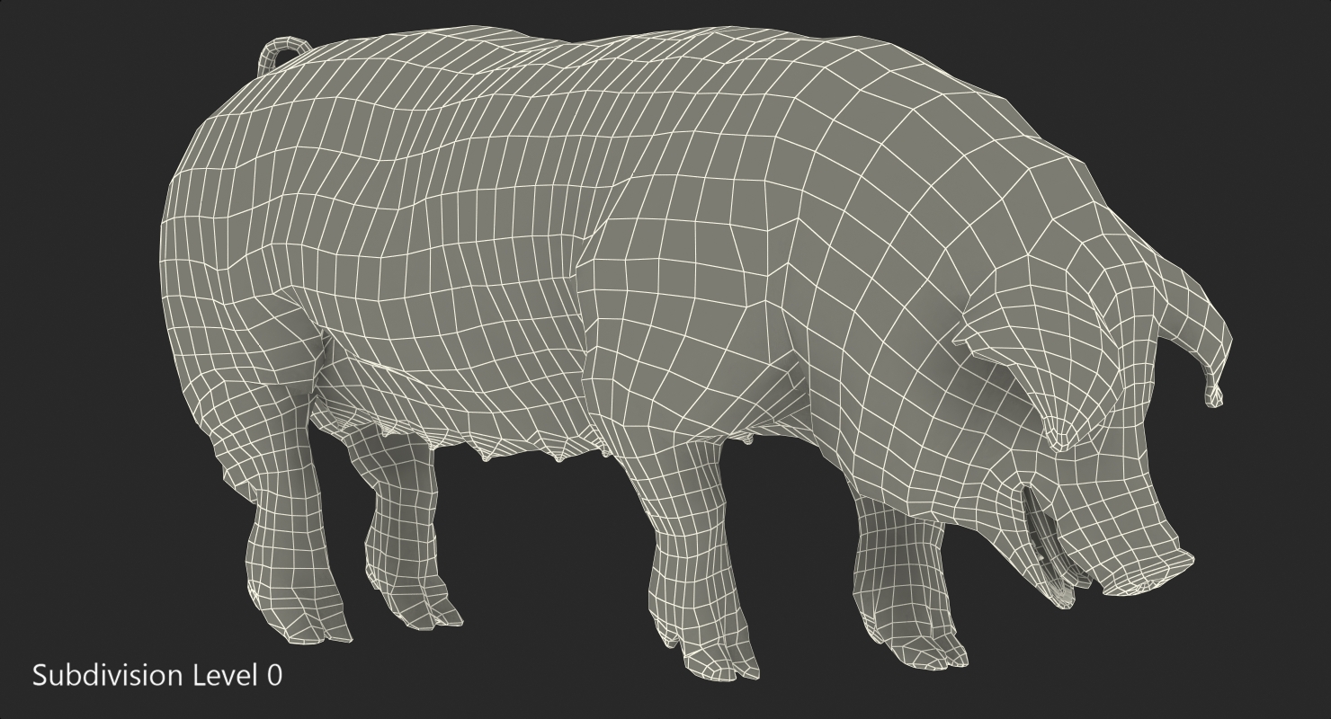 3D model Hampshire Pig Sow with Fur Standing Pose