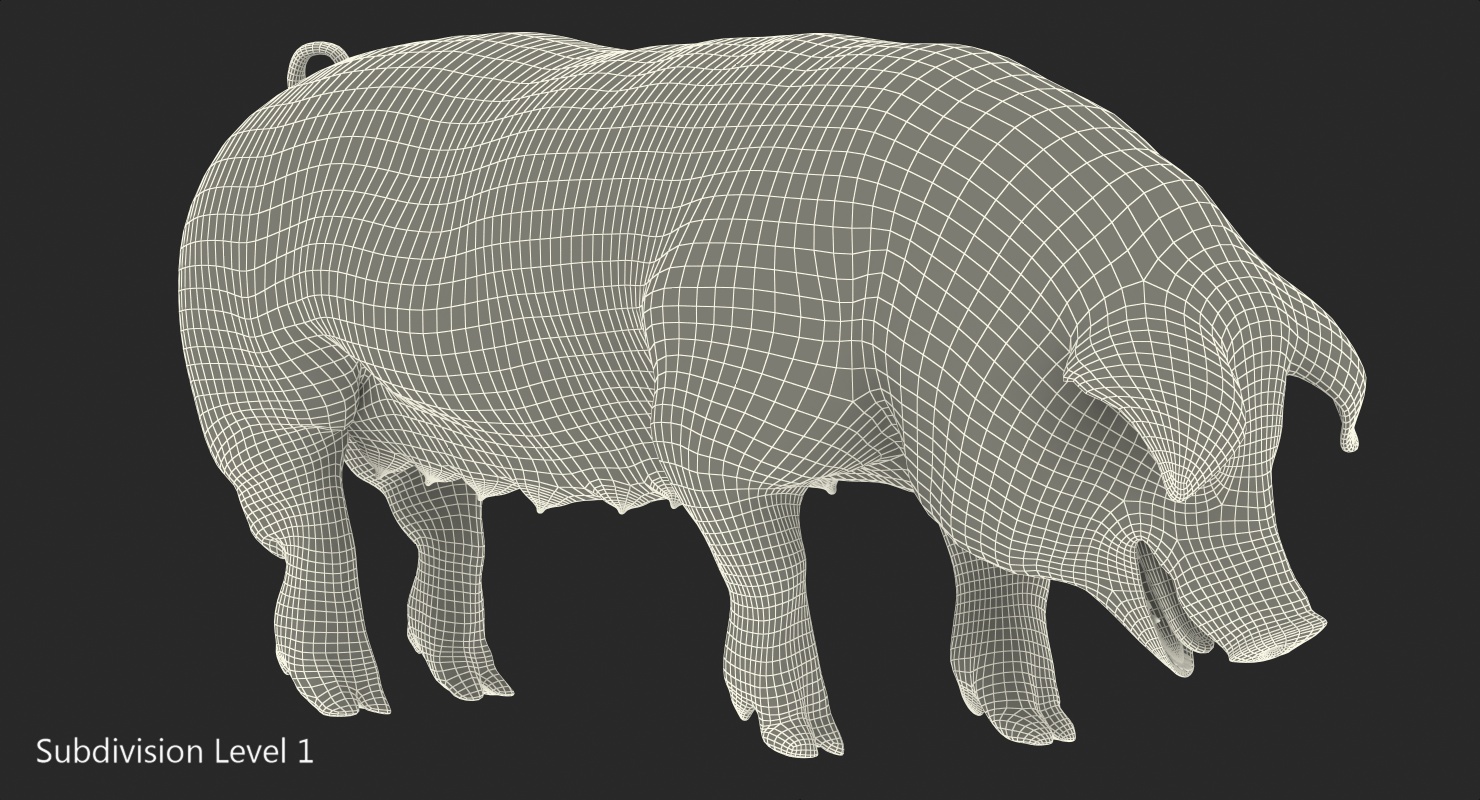 3D model Hampshire Pig Sow with Fur Standing Pose