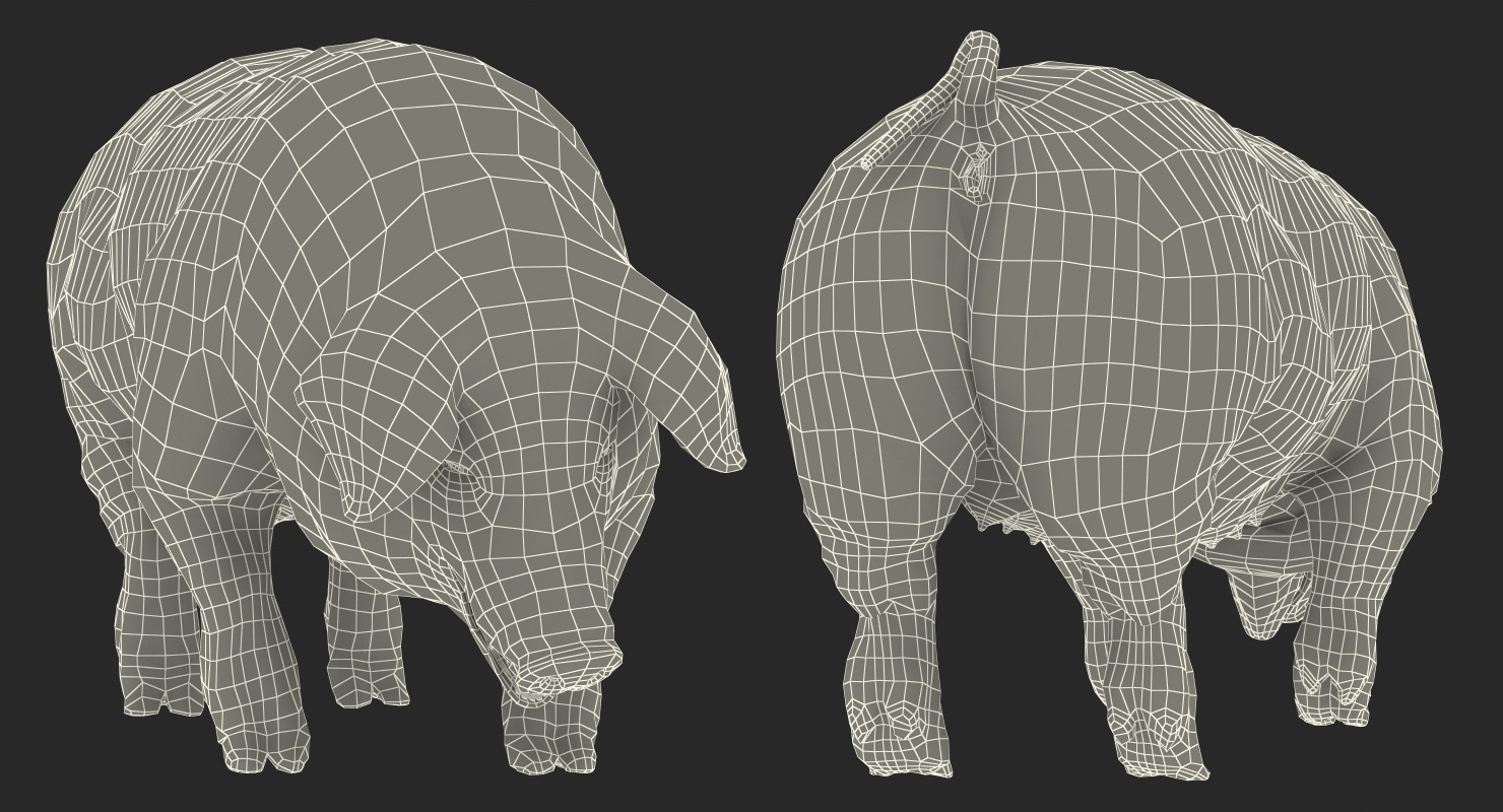 3D model Hampshire Pig Sow with Fur Standing Pose