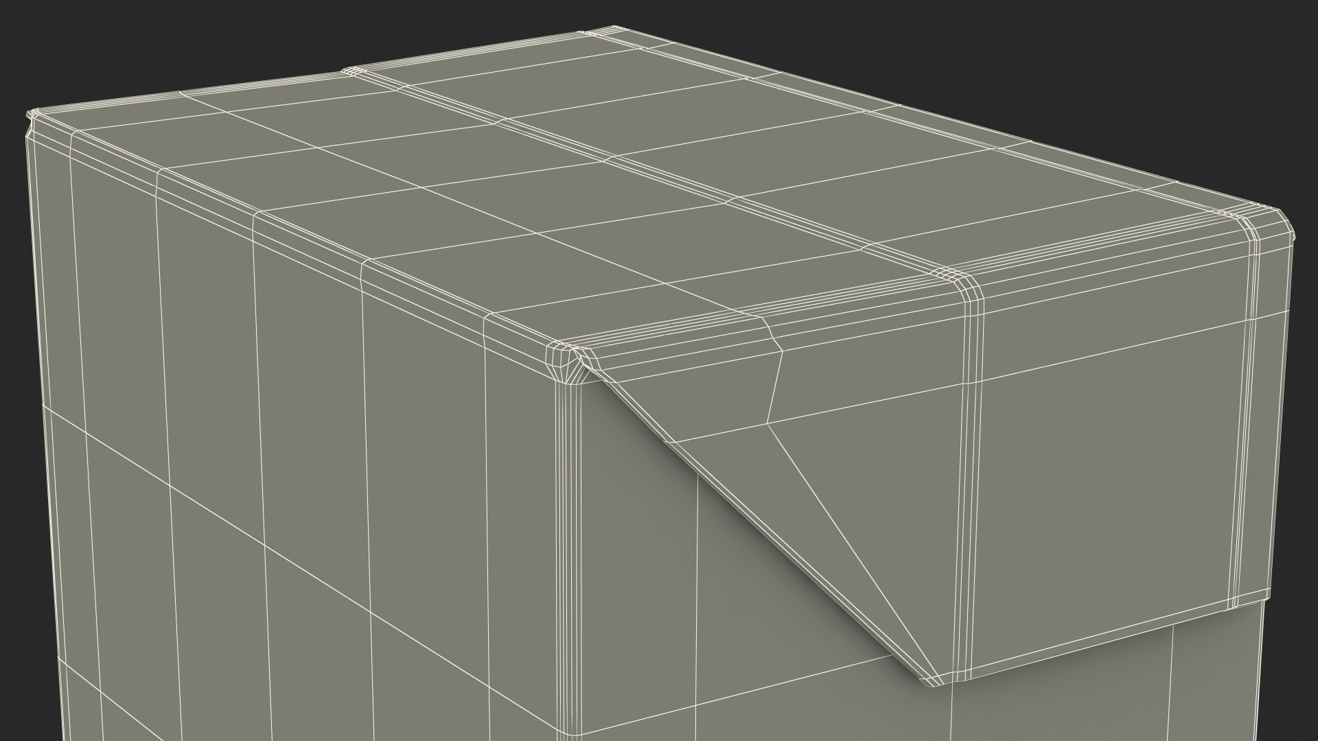 Rectangular Aseptic Carton Package 3D model