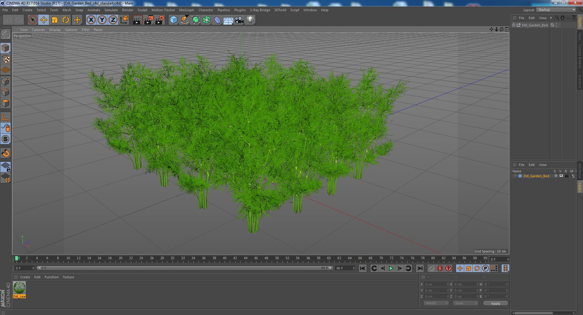 3D model Dill Garden Bed